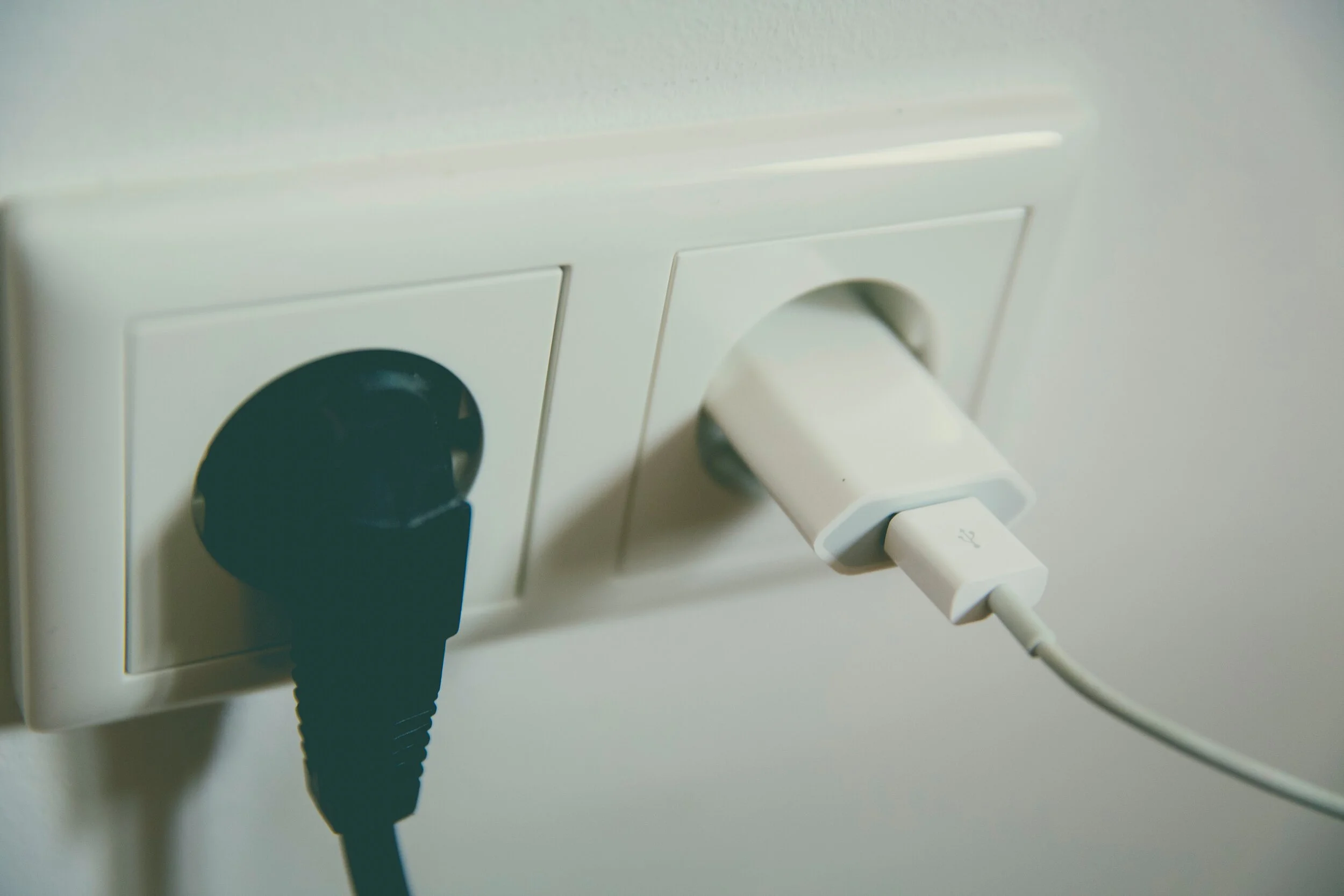 Newcomer is plugged in