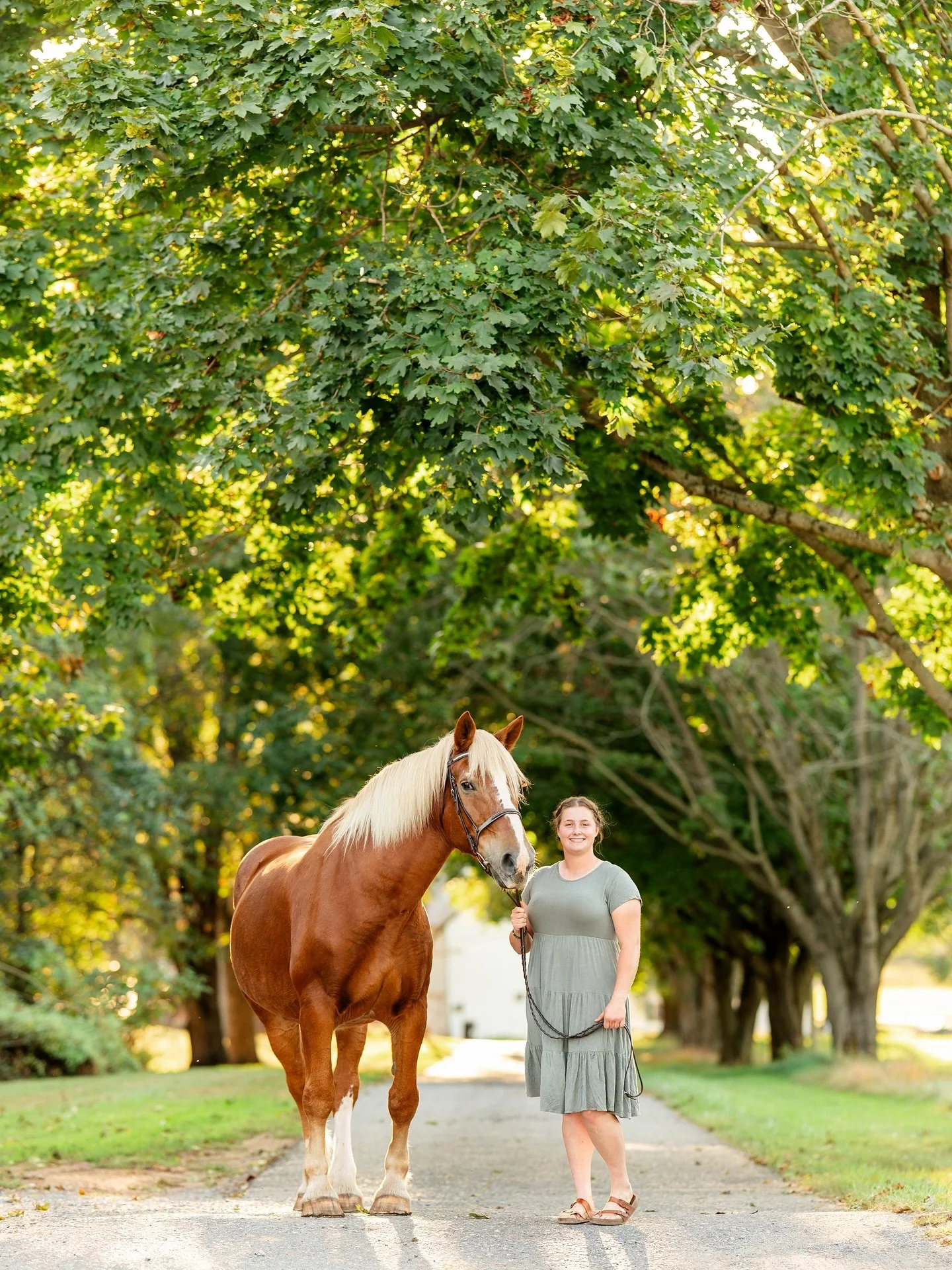 Lucy was ready to shine for the camera one last time today. Some shoots are harder than others&mdash;Ashley contacted me a few days ago, knowing she only had a few more days with her sweet girl. Of course I fit her in. 
Ashley, thank you for trusting