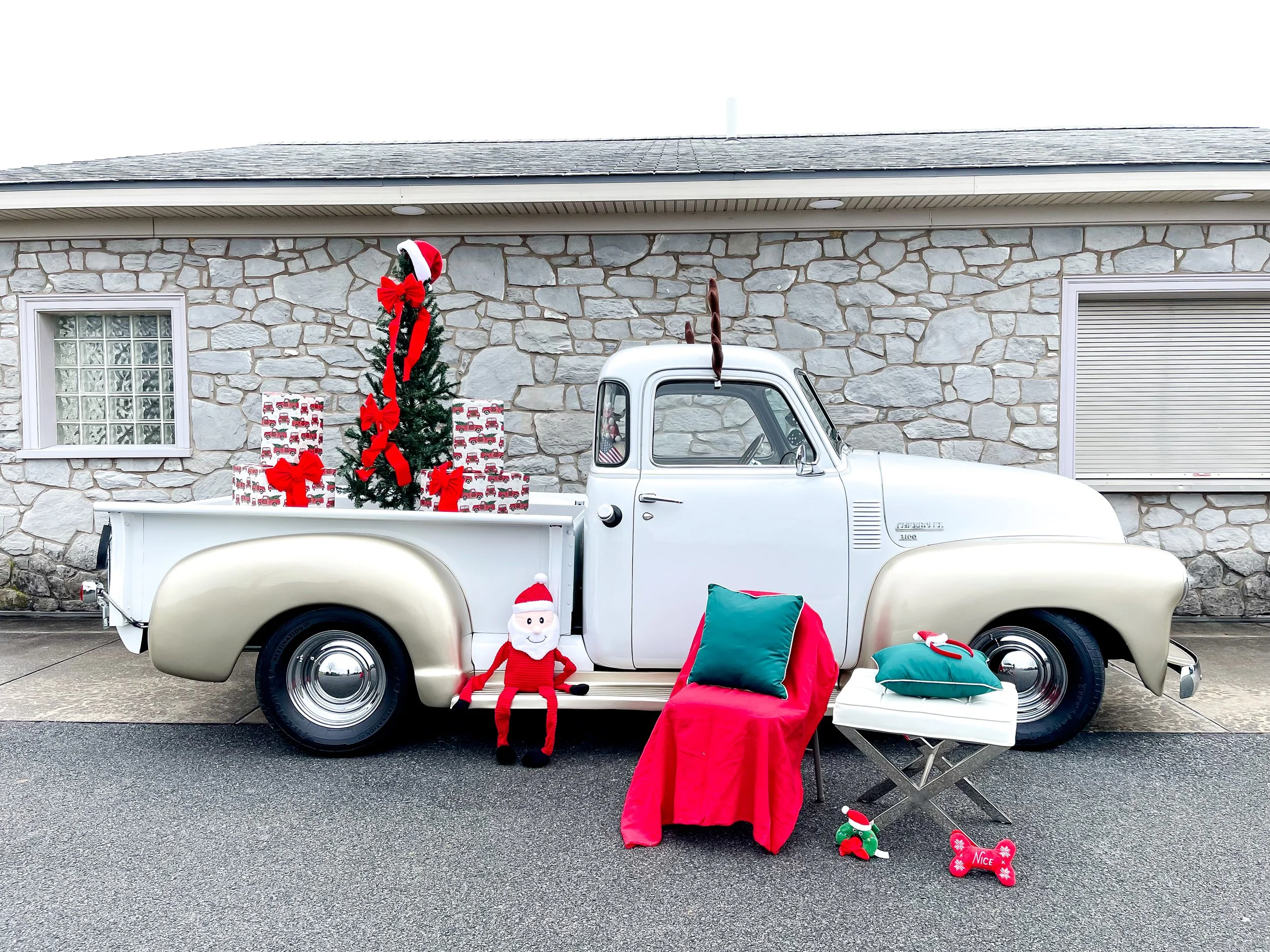 Pet Portraits in the Park | Holiday Style!