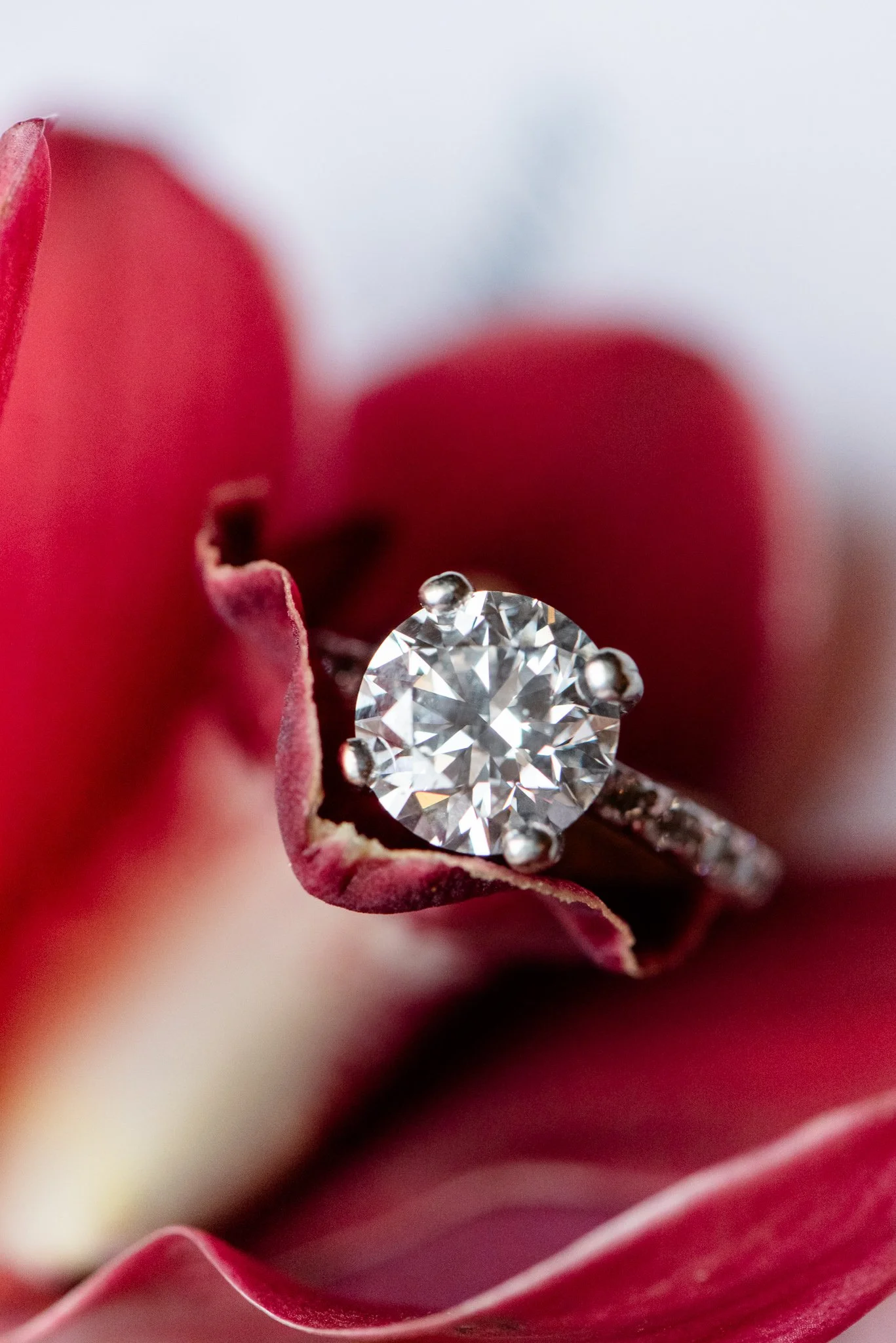 Ironstone Christmas Wedding Abby + William-12.jpg