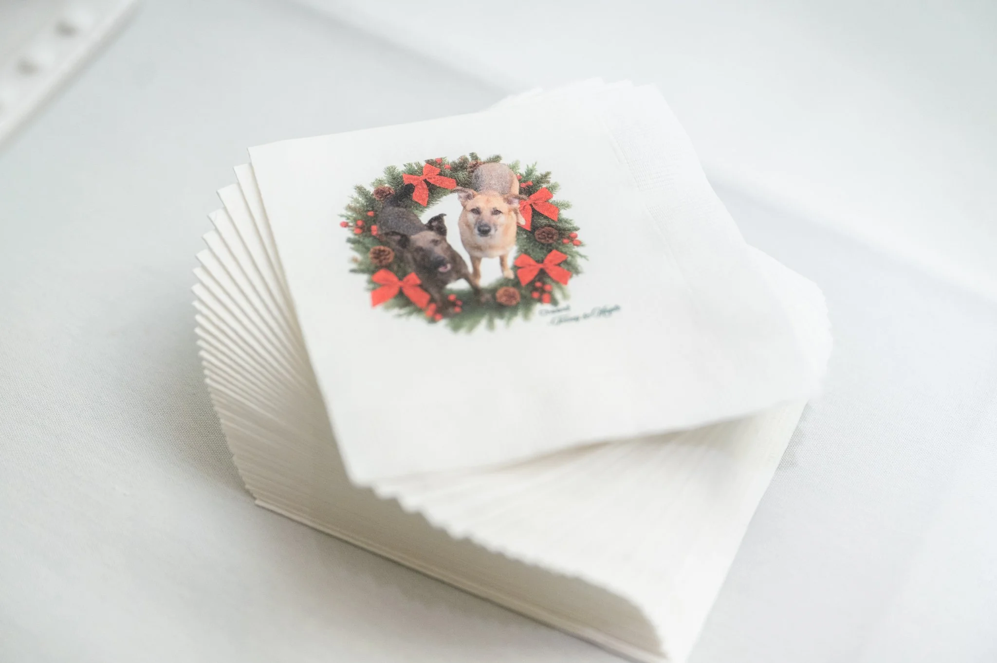 Marshalton Inn Wedding_12.13.25-172.jpg