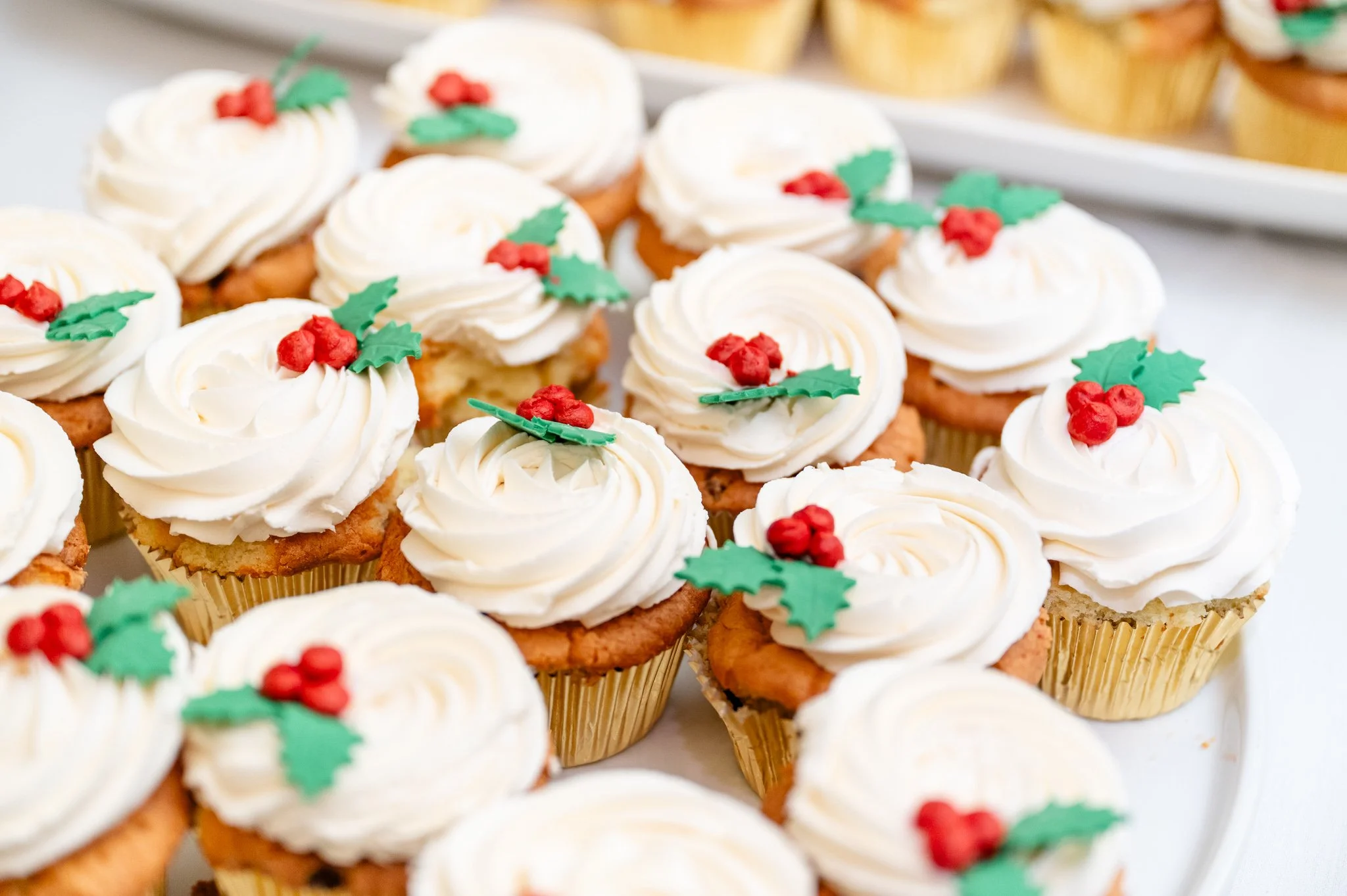 Marshalton Inn Wedding_12.13.25-173.jpg