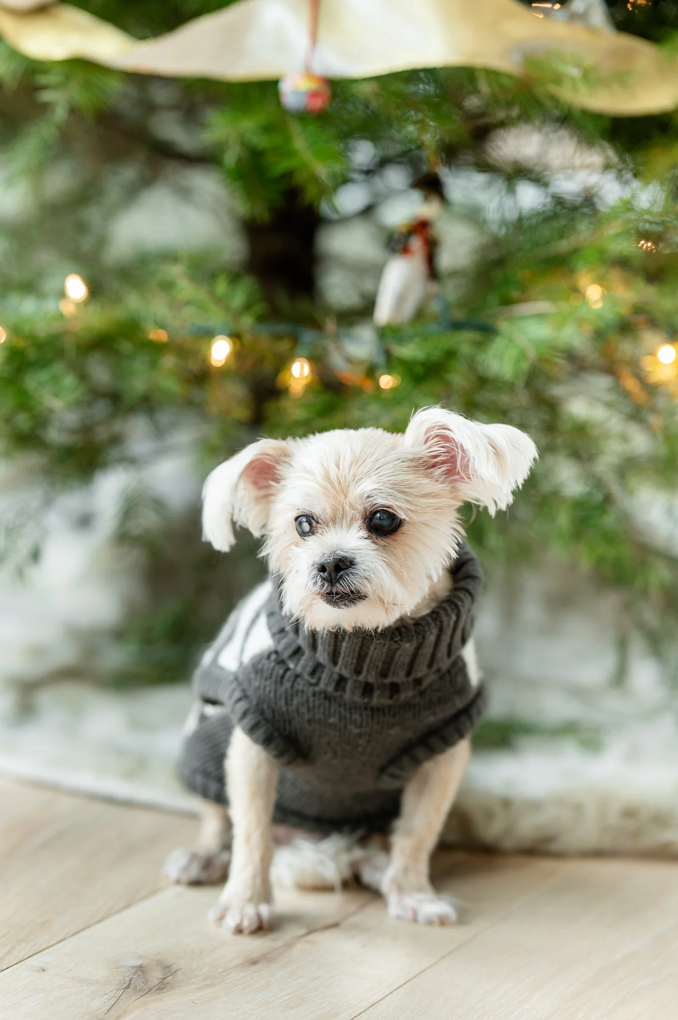 Fueyo Family HIghlight-6.jpg