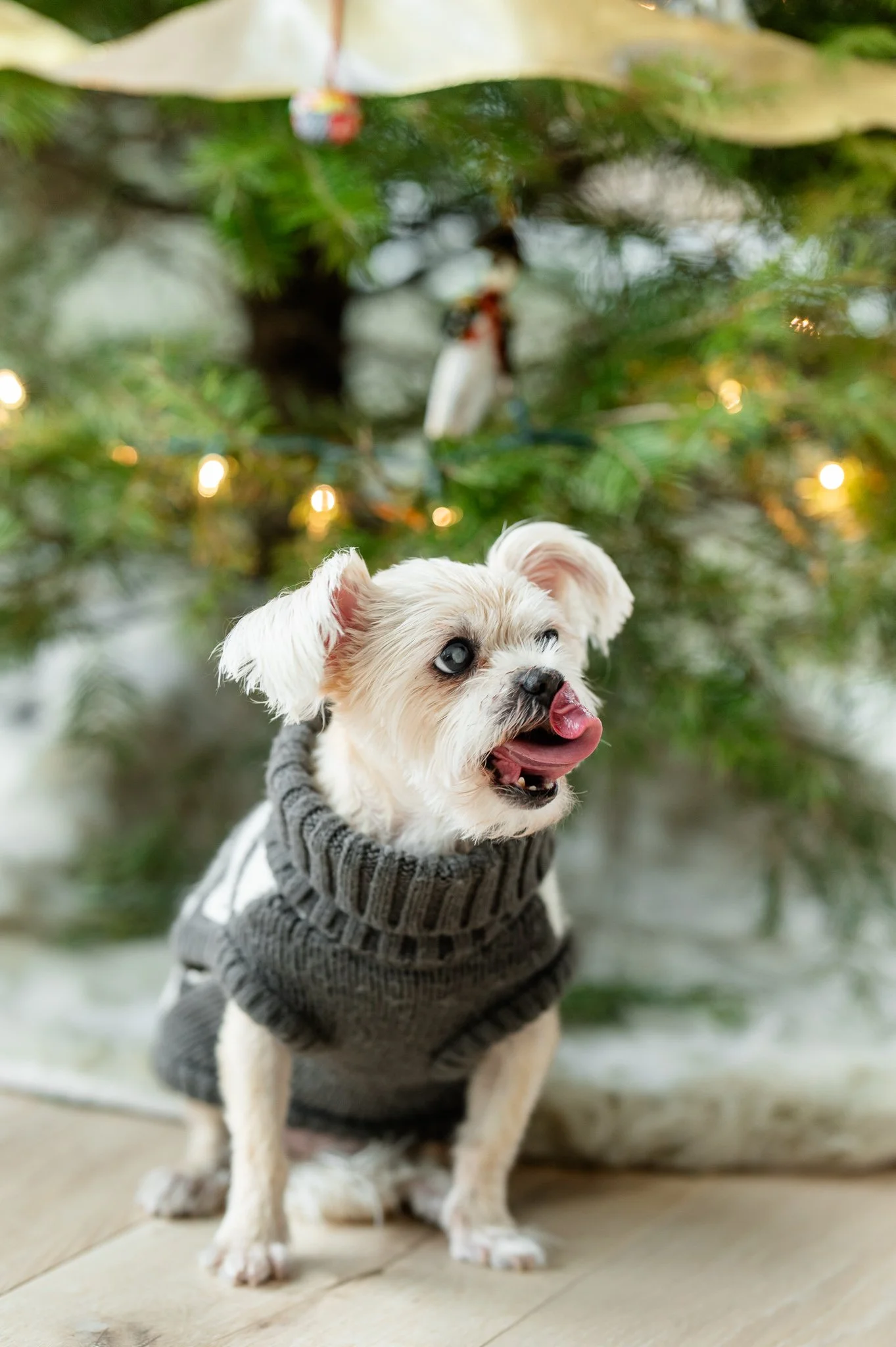 Fueyo Family HIghlight-25.jpg