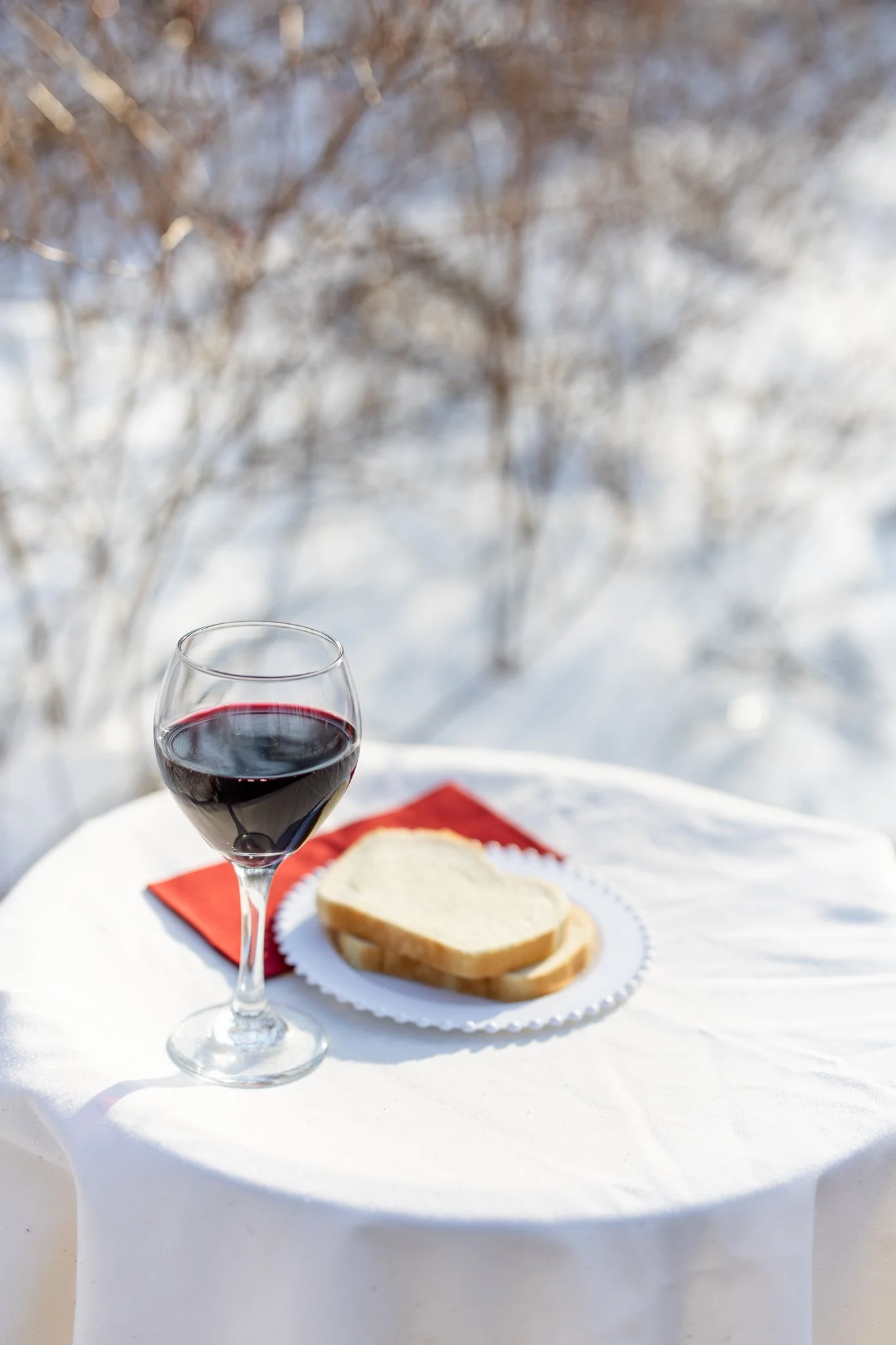 Winter Snow Wedding 2.14.26-39.jpg