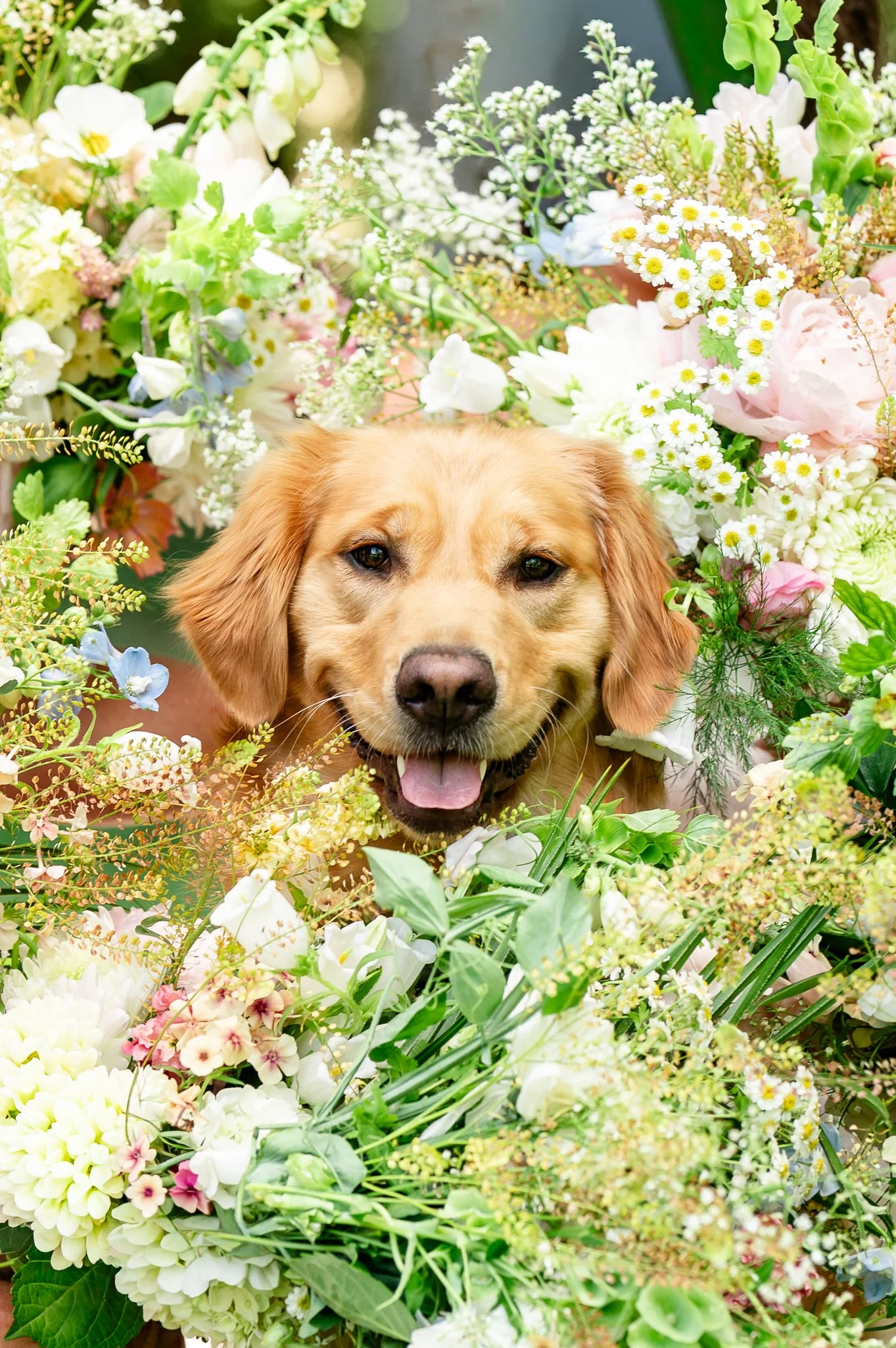 West Chester Wedding-21.jpg