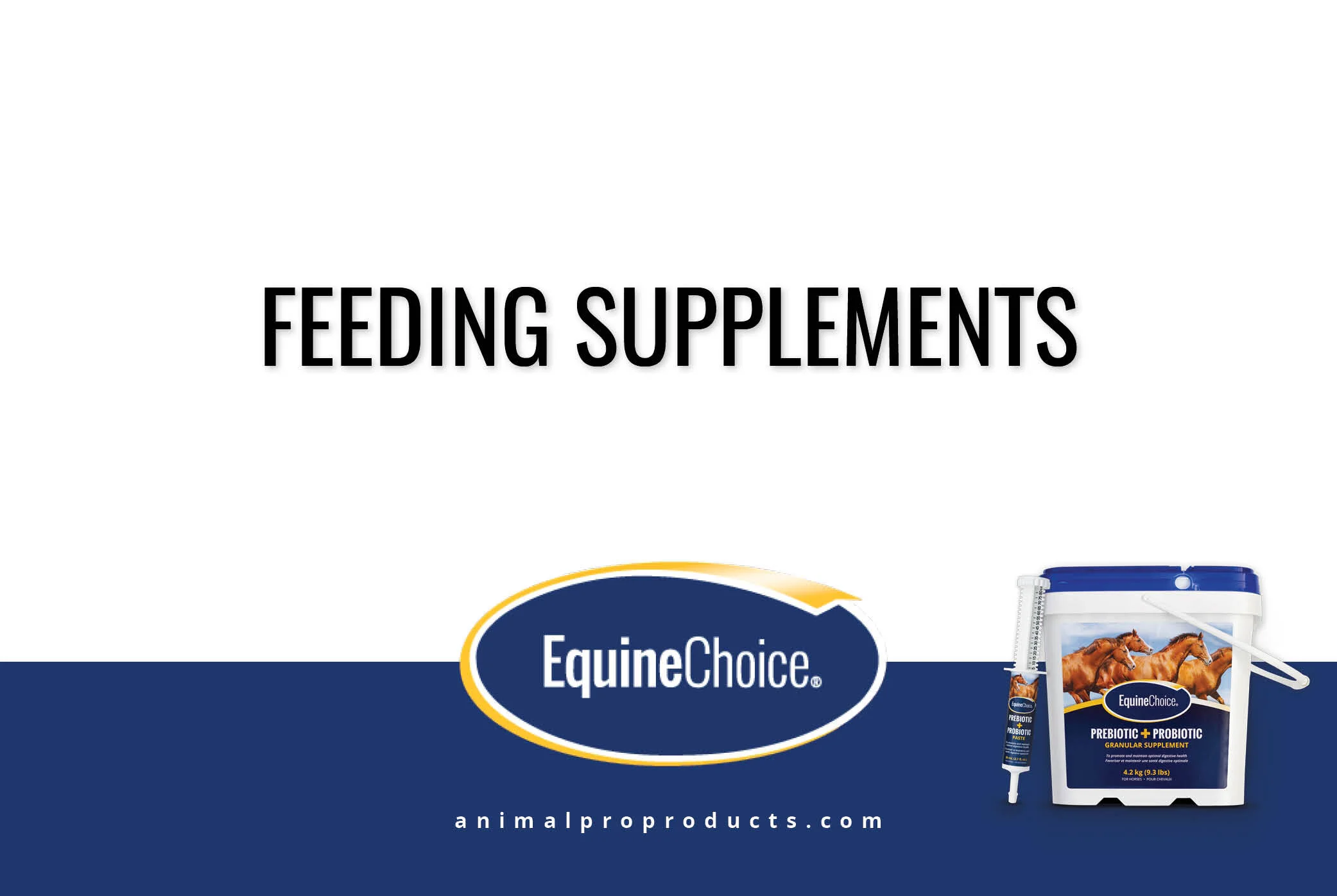 Feeding Supplements — Verona Health Solutions Inc.