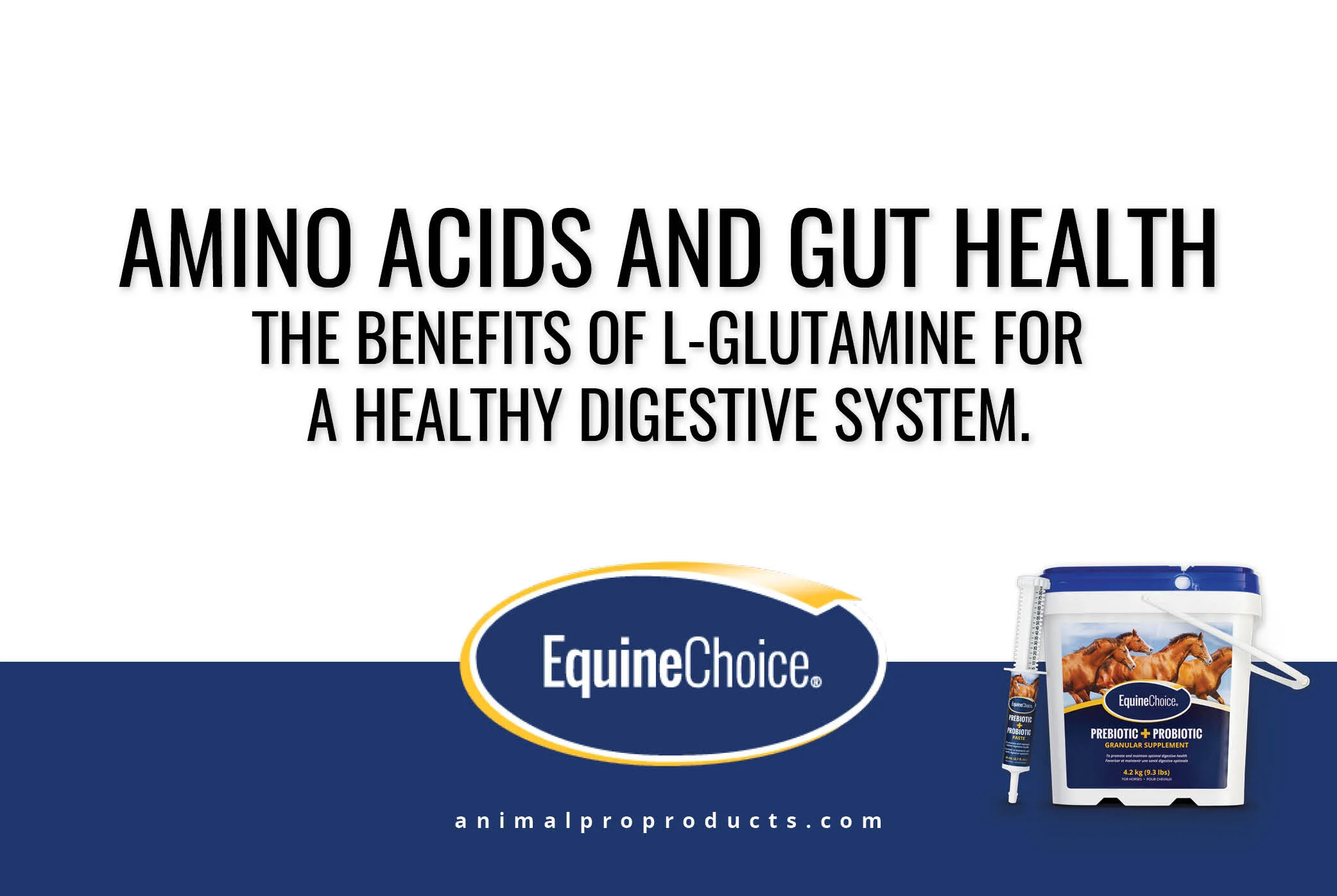 Amino Acids and gut health The benefits of LGlutamine for a healthy