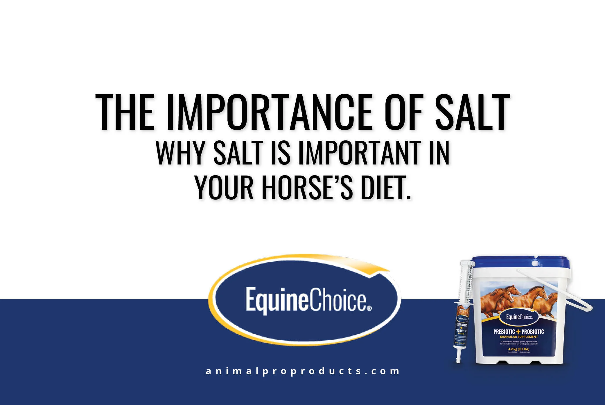 The Importance of Salt Why Salt is important in your horse’s diet