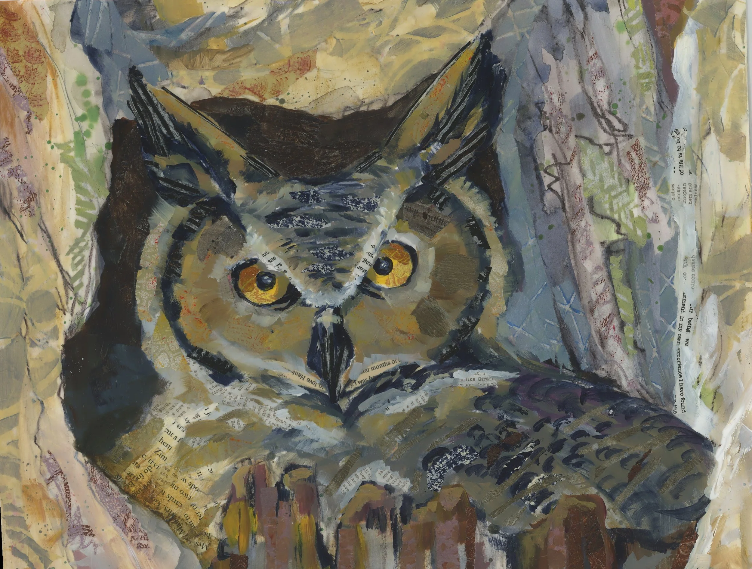 Great Horned Owl Nesting by Sharon L Ciccone.jpg