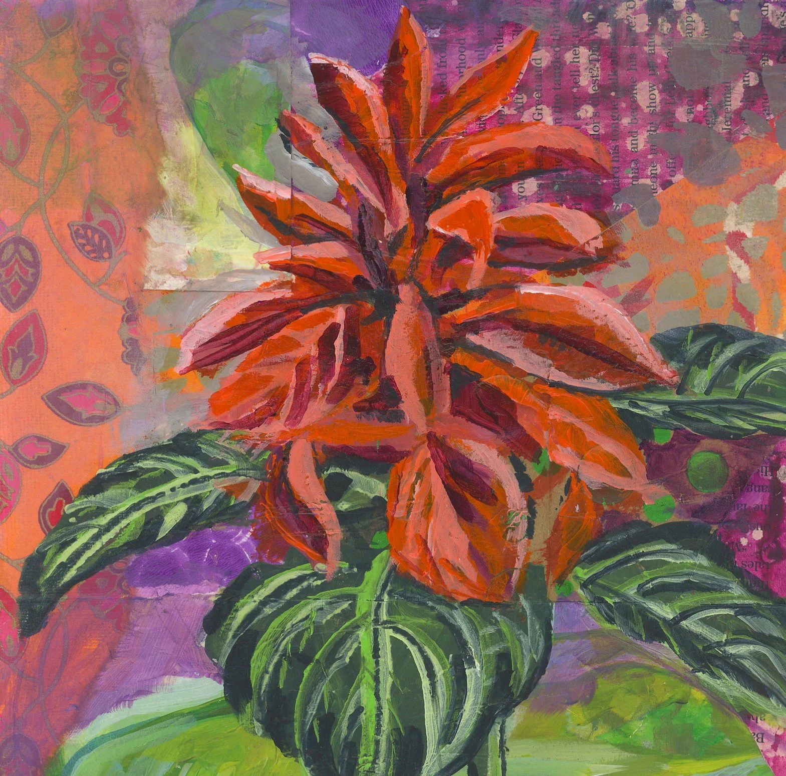 Ginger Plant by Sharon L Ciccone 2025.jpg