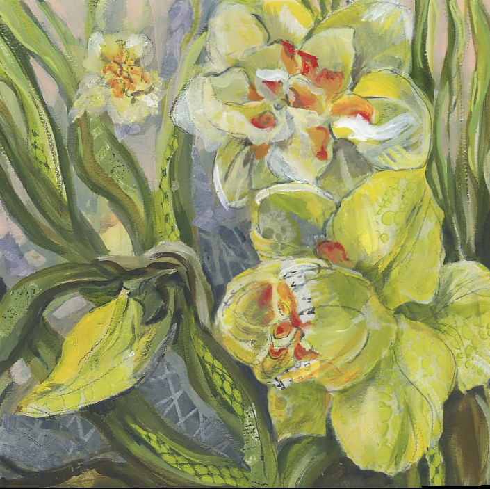 #65 Daffodils