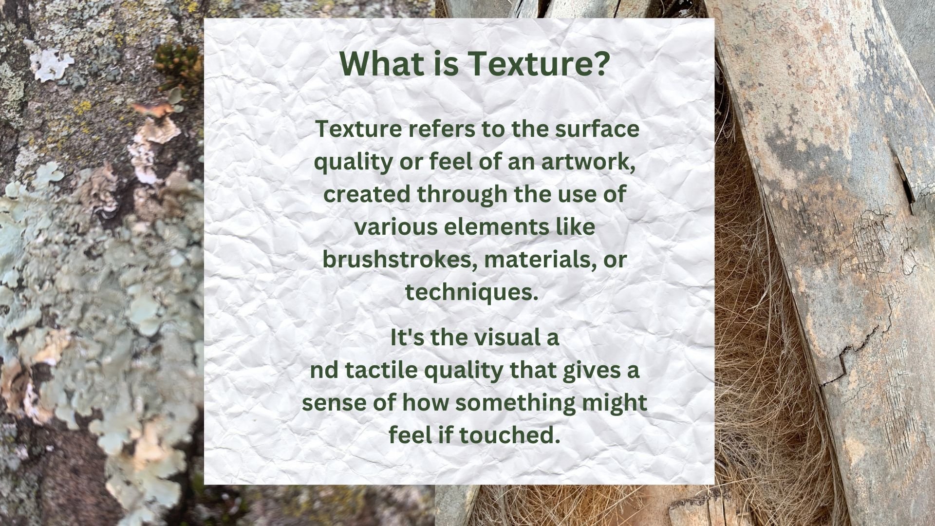 Using Textures from Nature in Your Artwork — Sharon L. Ciccone Art