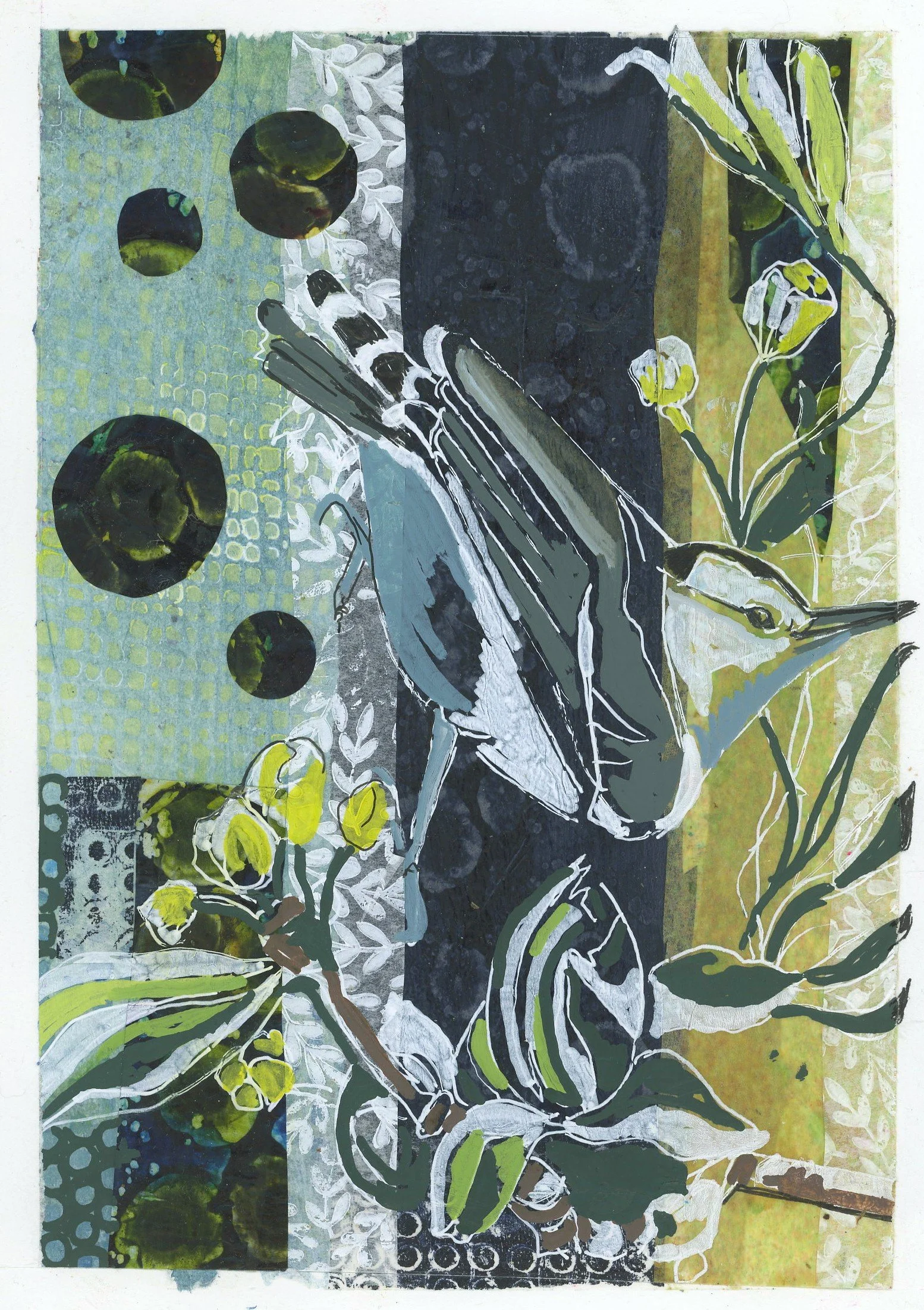 Nuthatch Collage by Sharon L Ciccone 2025.jpg