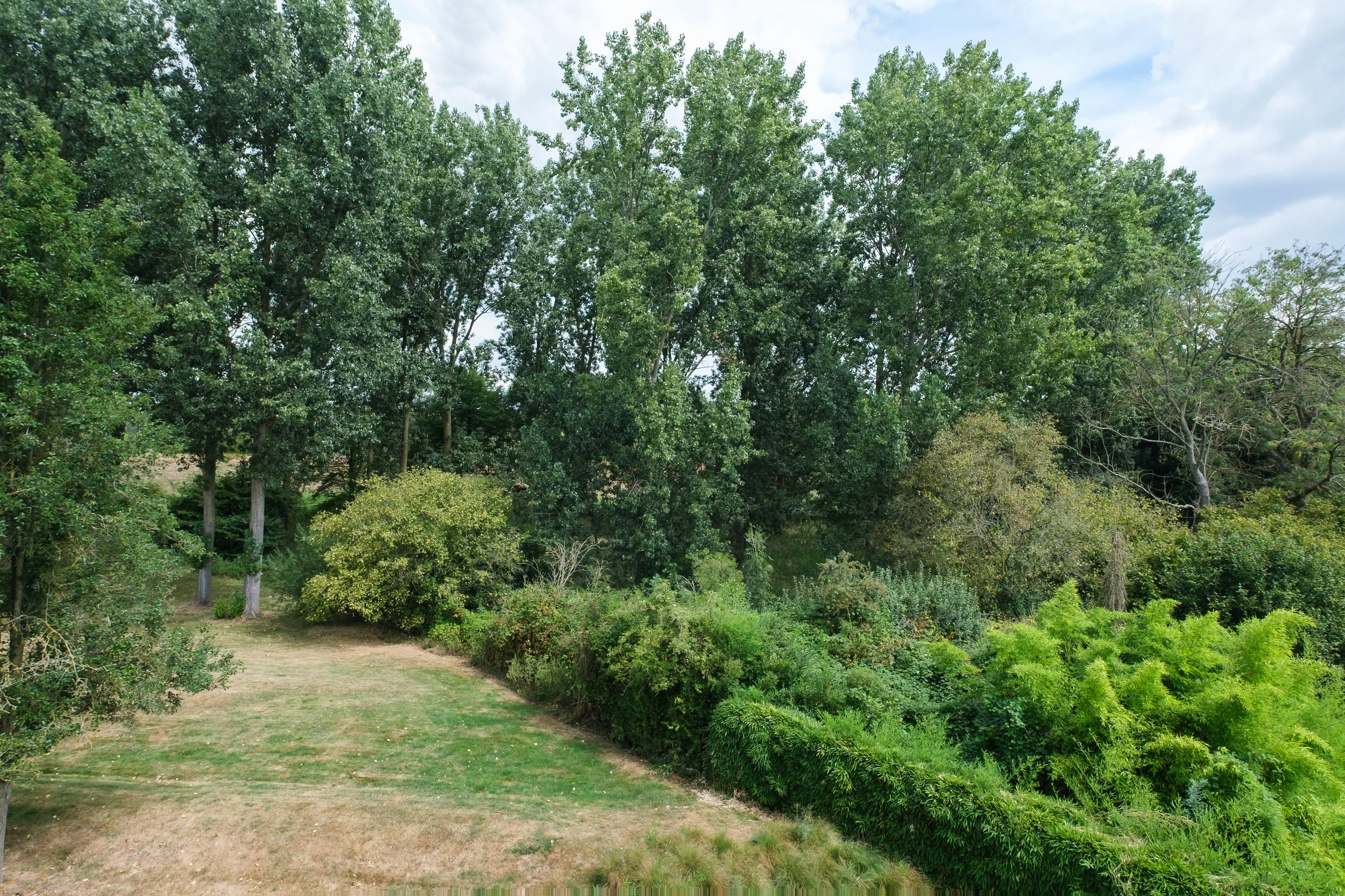 26-08-07-15.jpg