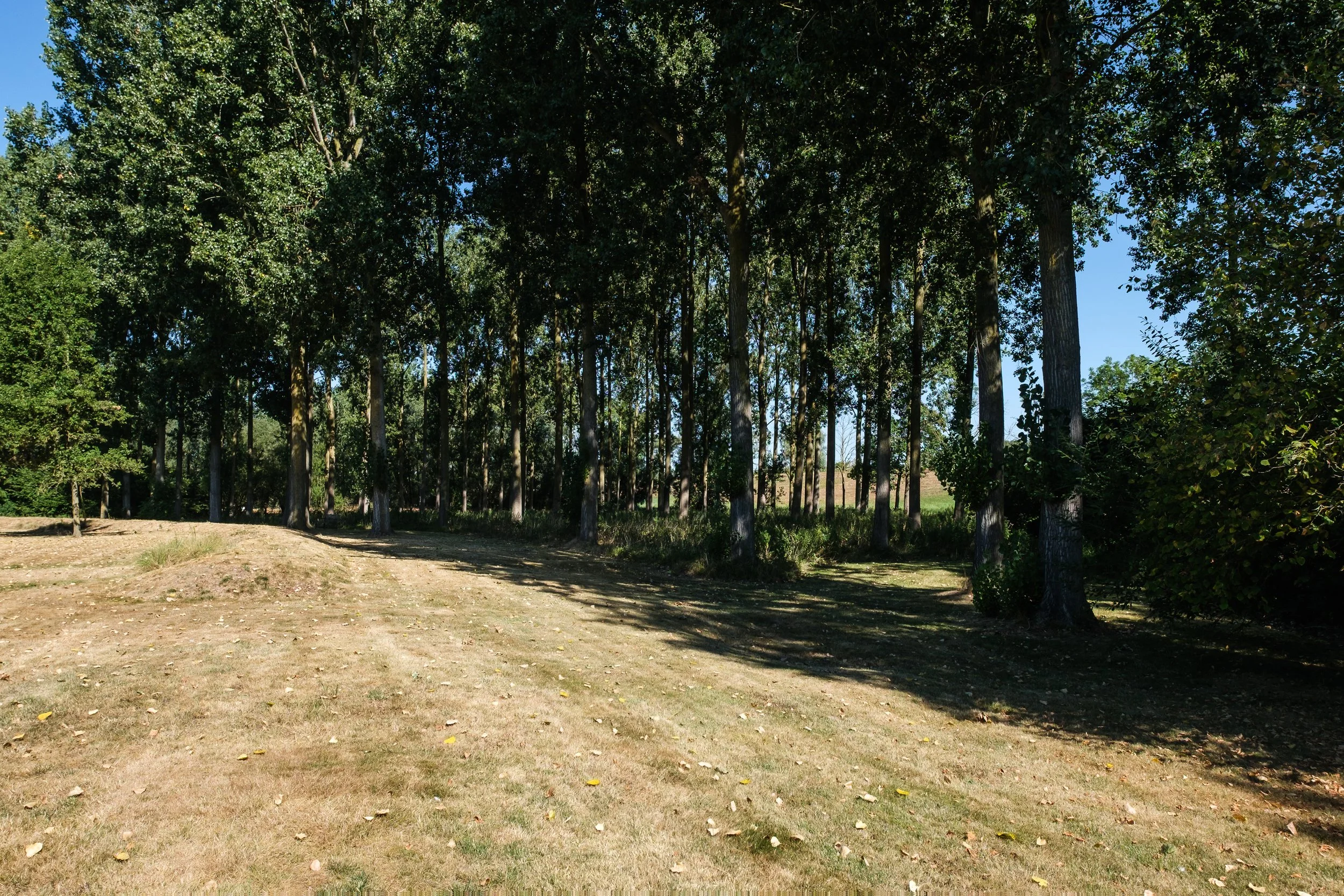 26-08-13-6.jpg