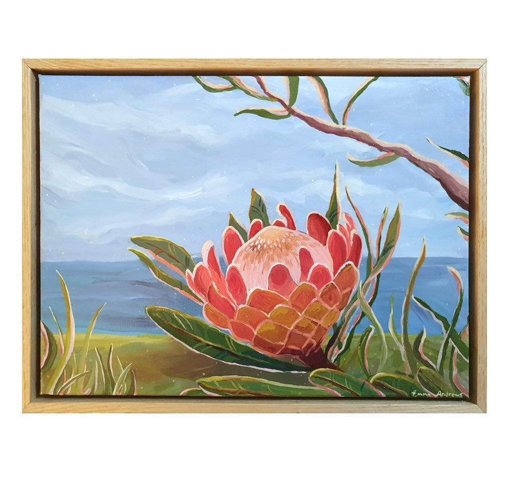 @emmaandrewsart new artwork has arrived! 😍

A beautiful and peaceful painting of a peach pink protea against the backdrop of the ocean on a cloudy Autumn day ✨ 

Online under - Autumn Exhibition 

#emmaandrewsart #australianart #australianartist #ar