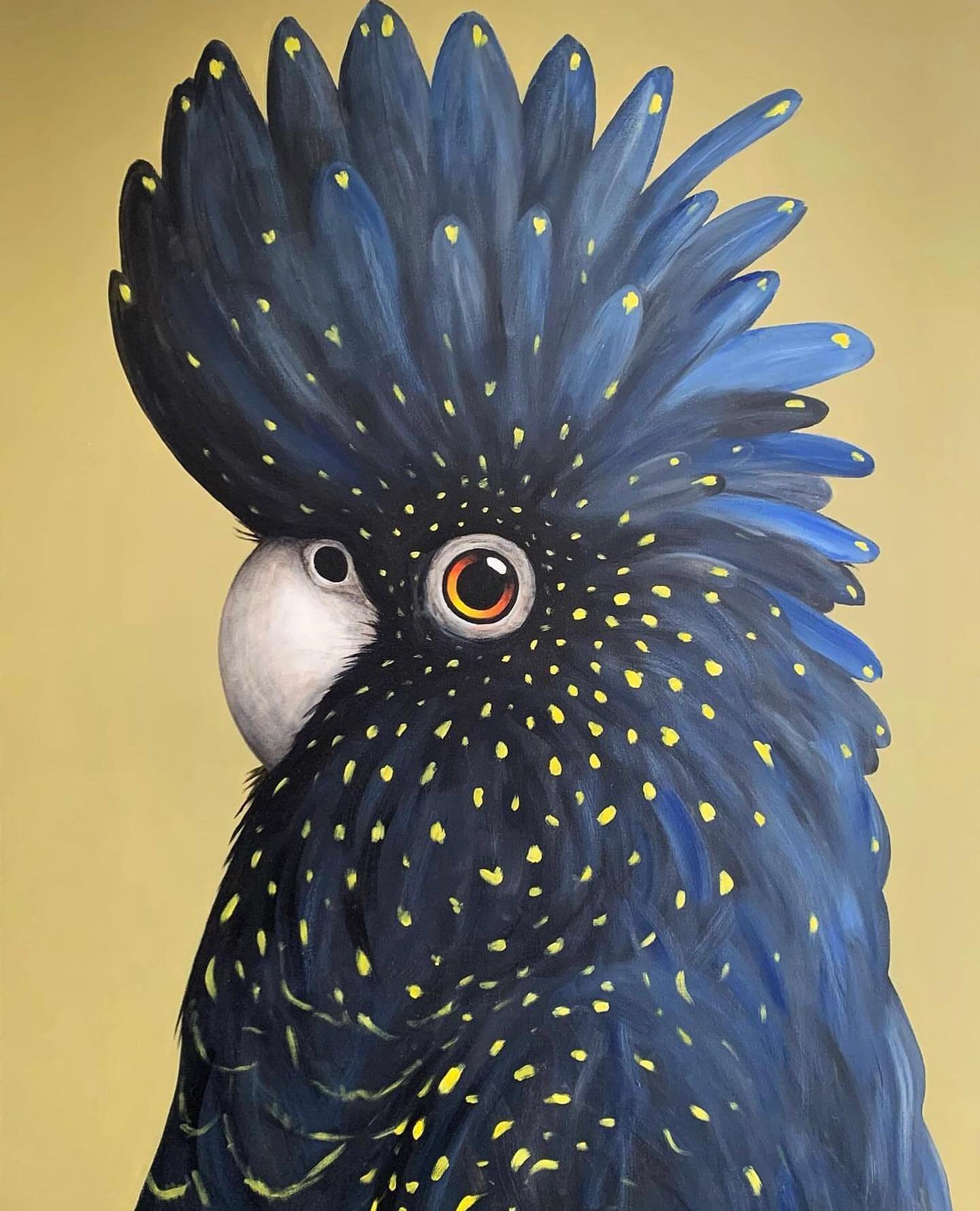 Happy Saturday! Today we&rsquo;re sharing Mudgee artist @charles_smith_art stunning portrait of a black cockatoo size 122cm x 92cm. The details are colours are amazing! 

Charles Smith lives and paints in Mudgee and he loves to capture the unique per