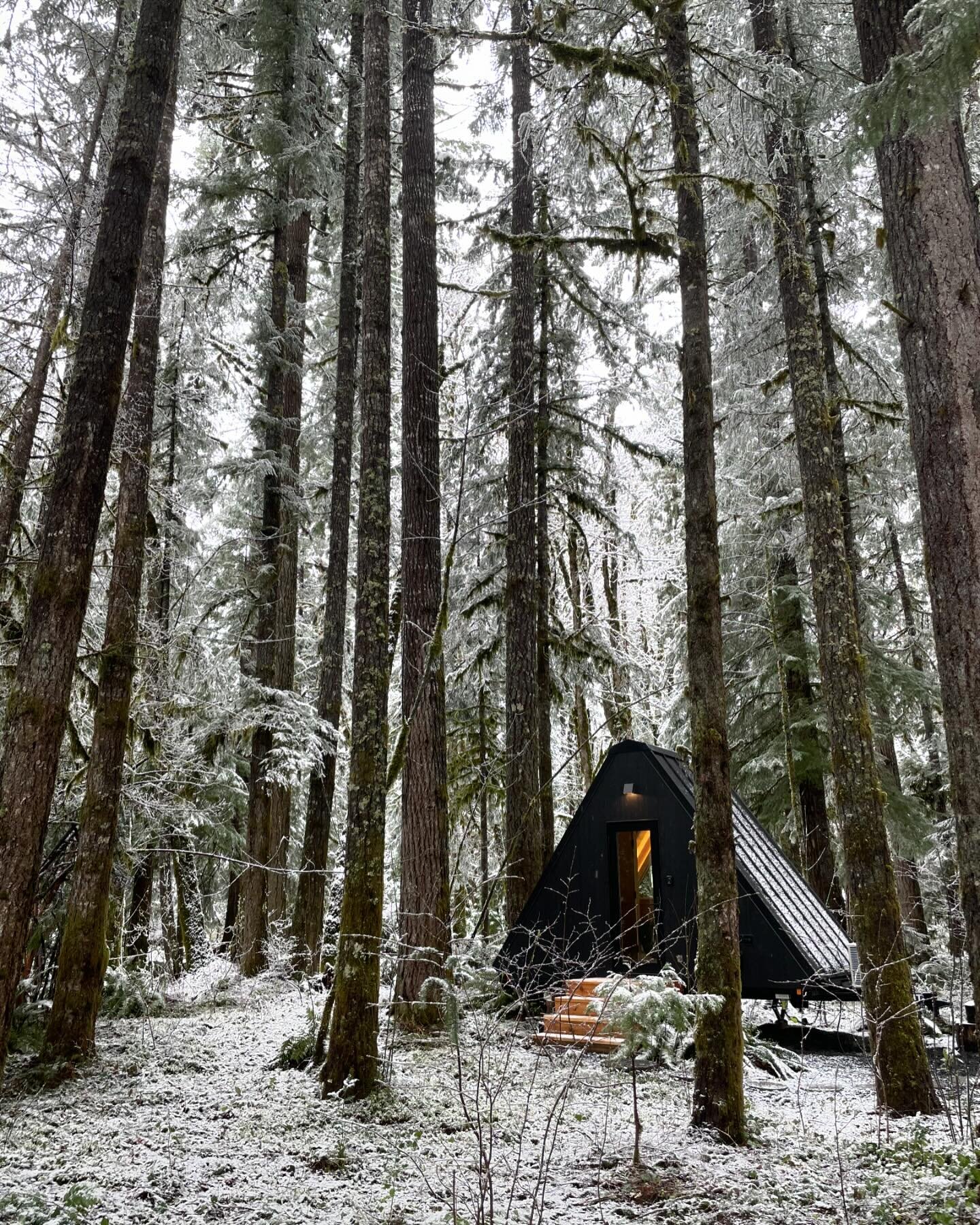 The McKenzie River cabin during a recent snow.