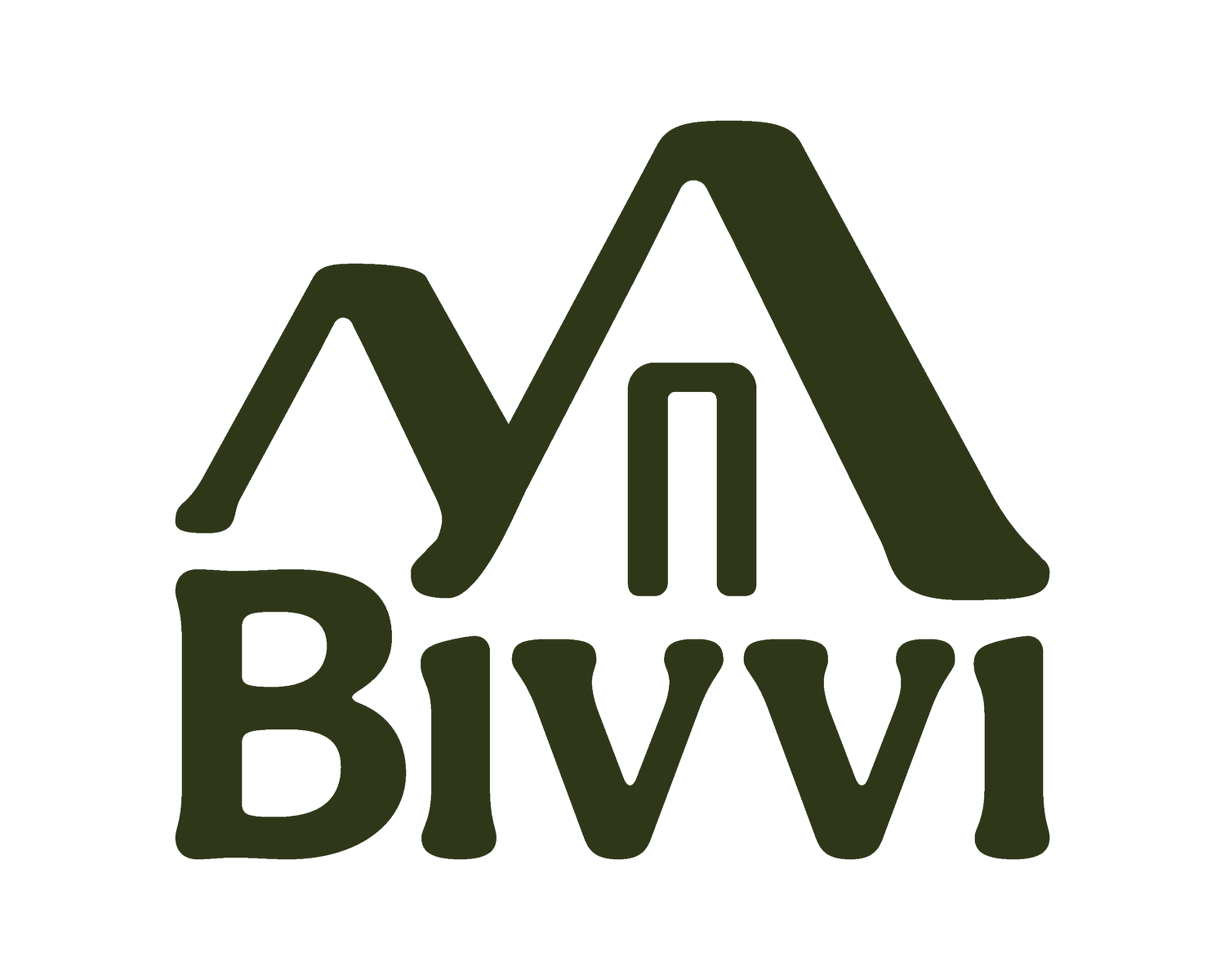 Bivvi 