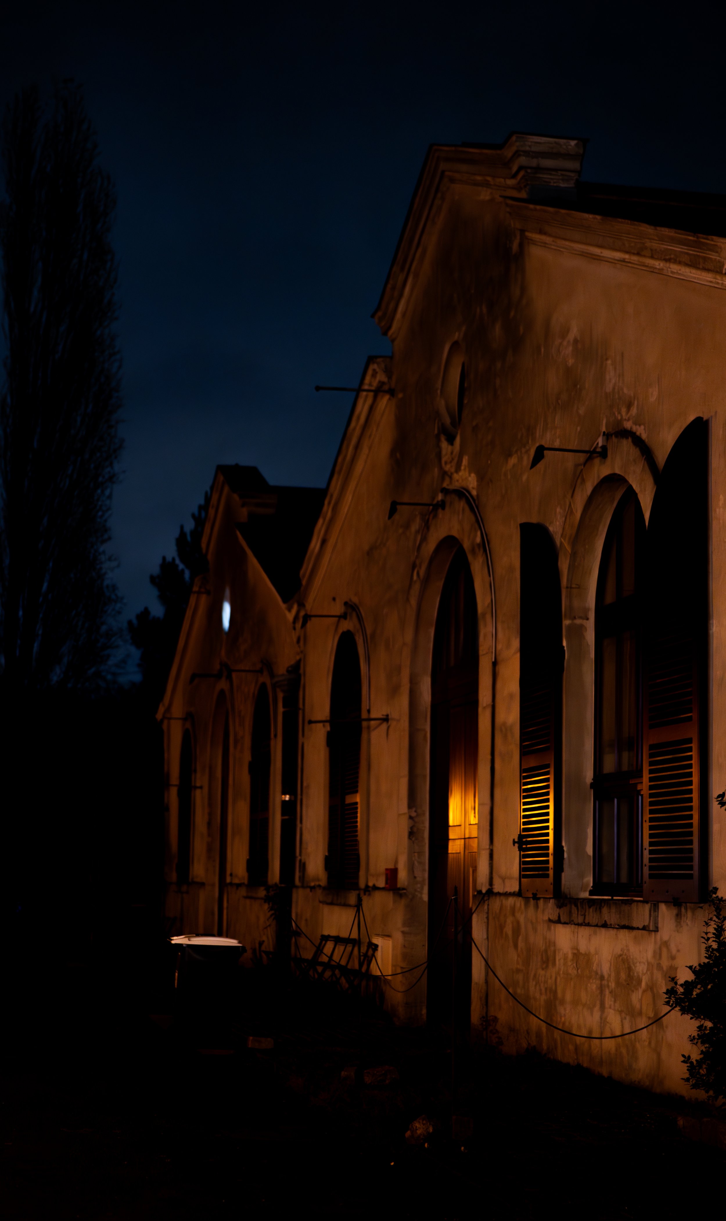 P1027566-Enhanced-NR.jpg