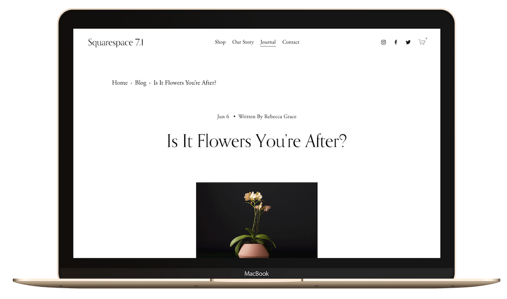 Breadcrumb For Blog on Squarespace.png