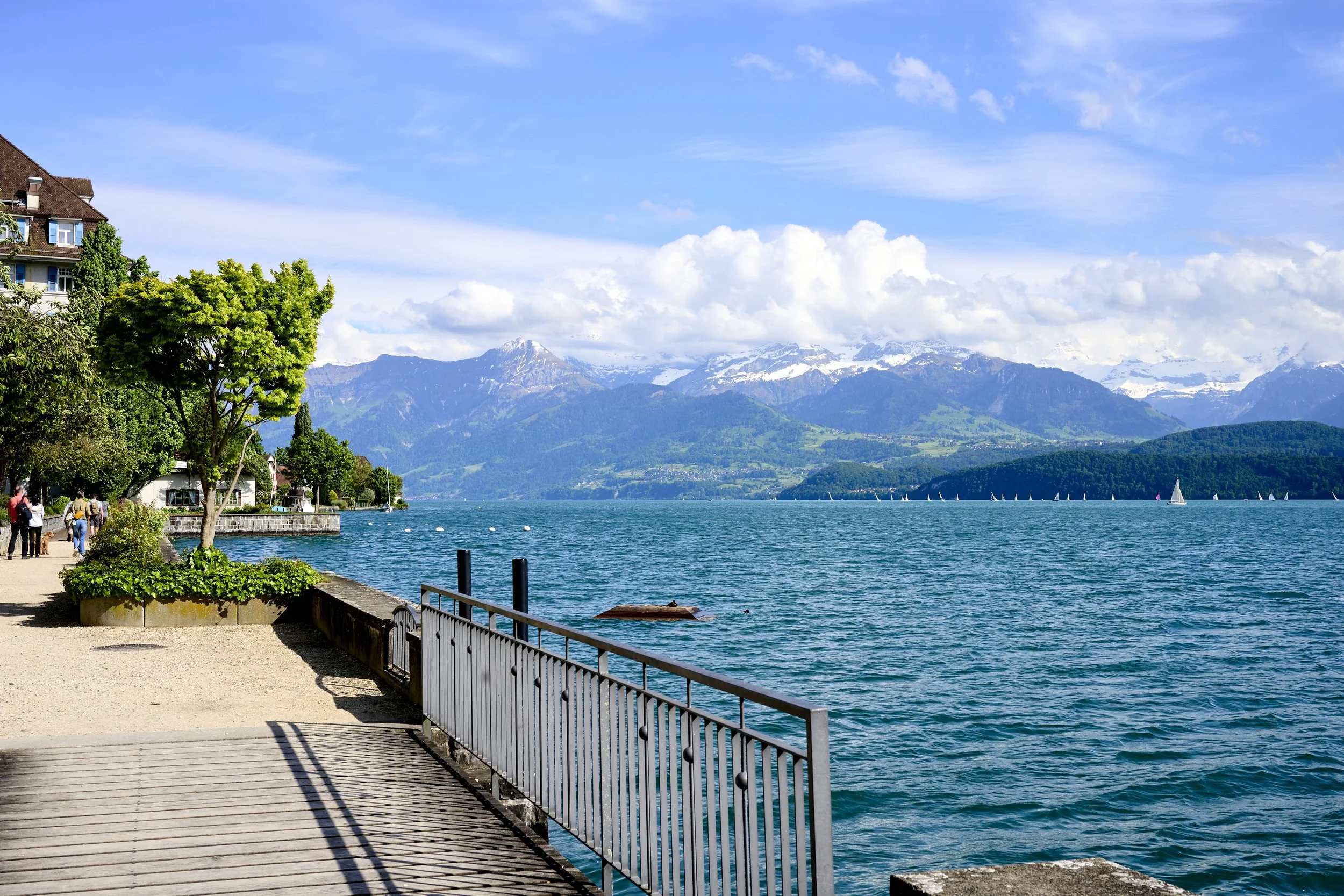 KBF-Thun-011_KMB_3332_24-05-25_16-27-55 1.jpg