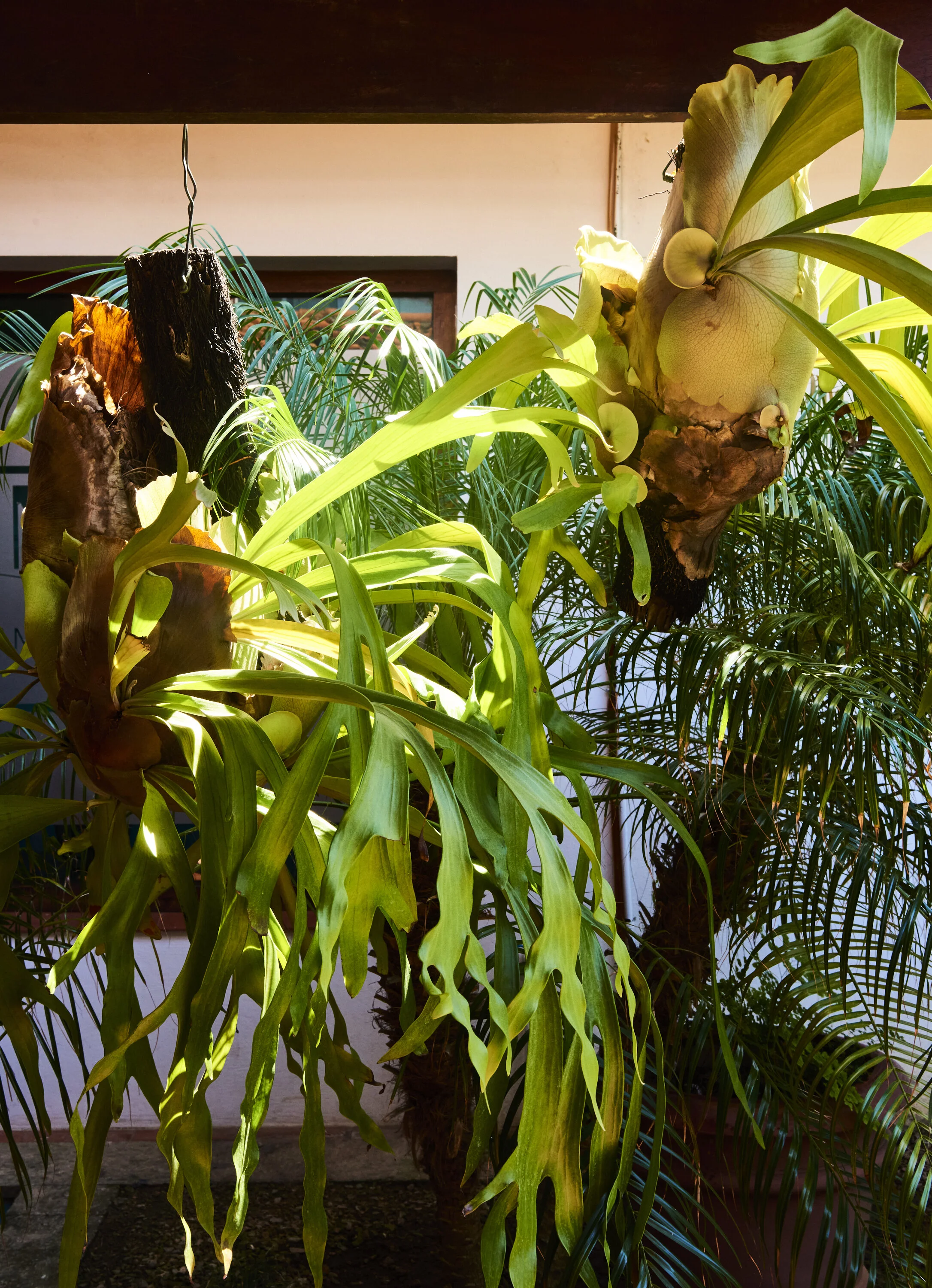 TRAVEL-Cuba-00002__DSC_7733.jpg