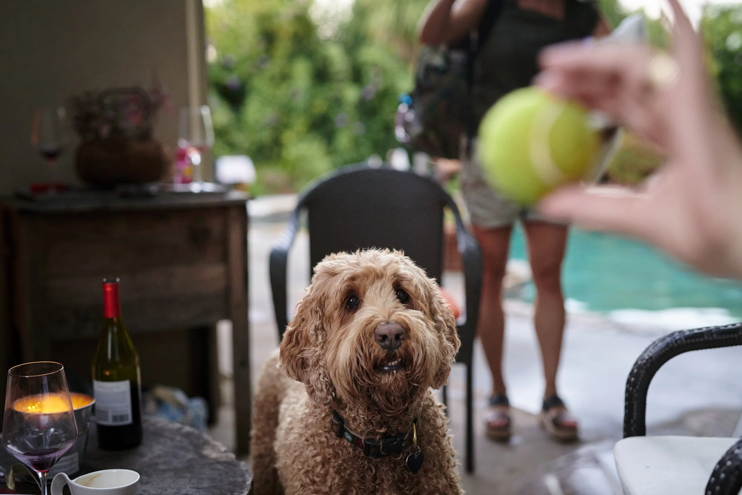 0069-NY-CA-Visit__00397__Aug 15 2022-DSC_0906.jpg