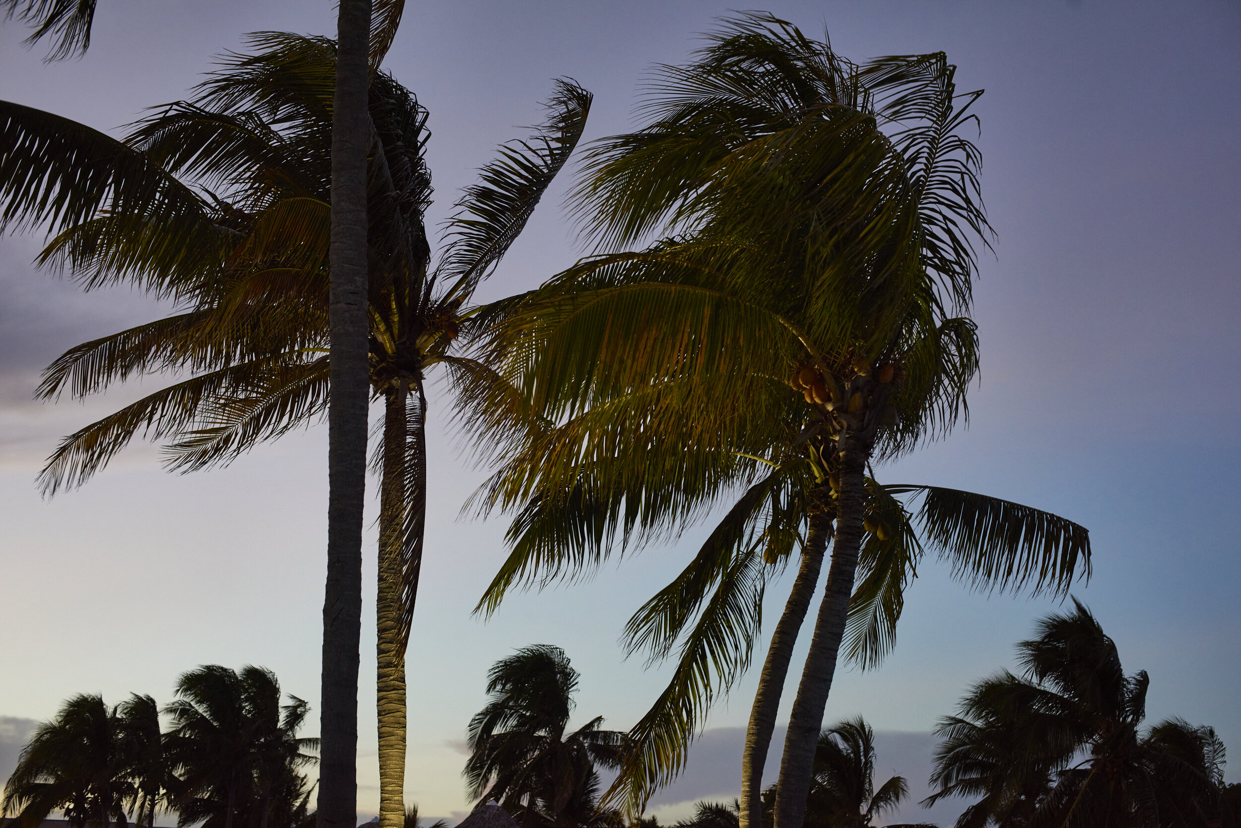 TRAVEL-Cuba-00040__DSC_9015.jpg