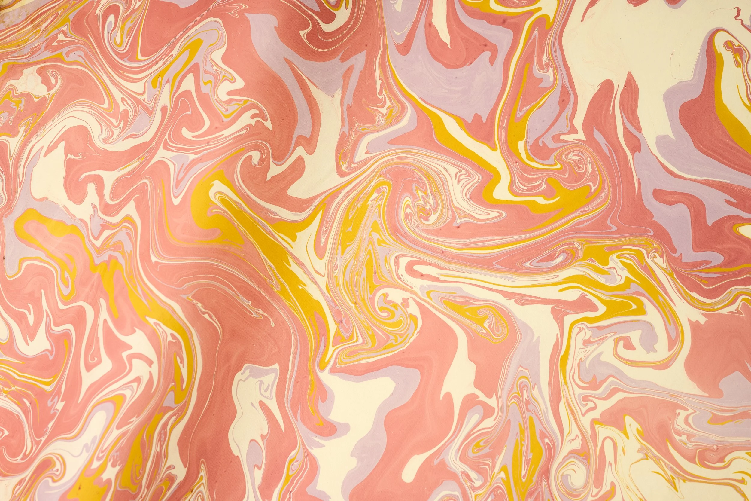 KBFotografie_Inwine-041_17-11-19_Sep 22 2025.jpg