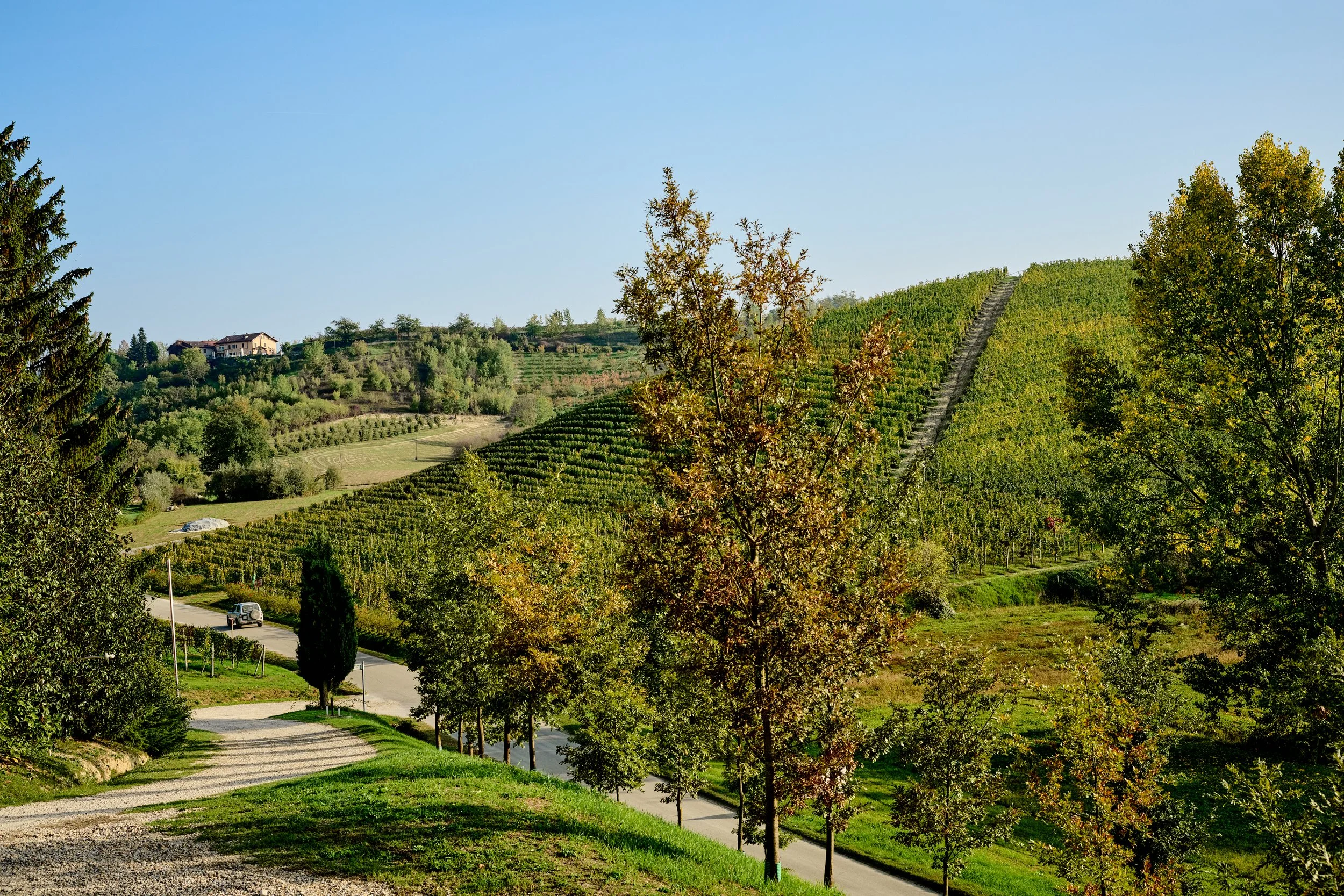 Piemonte-043_DSC_1591_Oct 19 2022.jpg