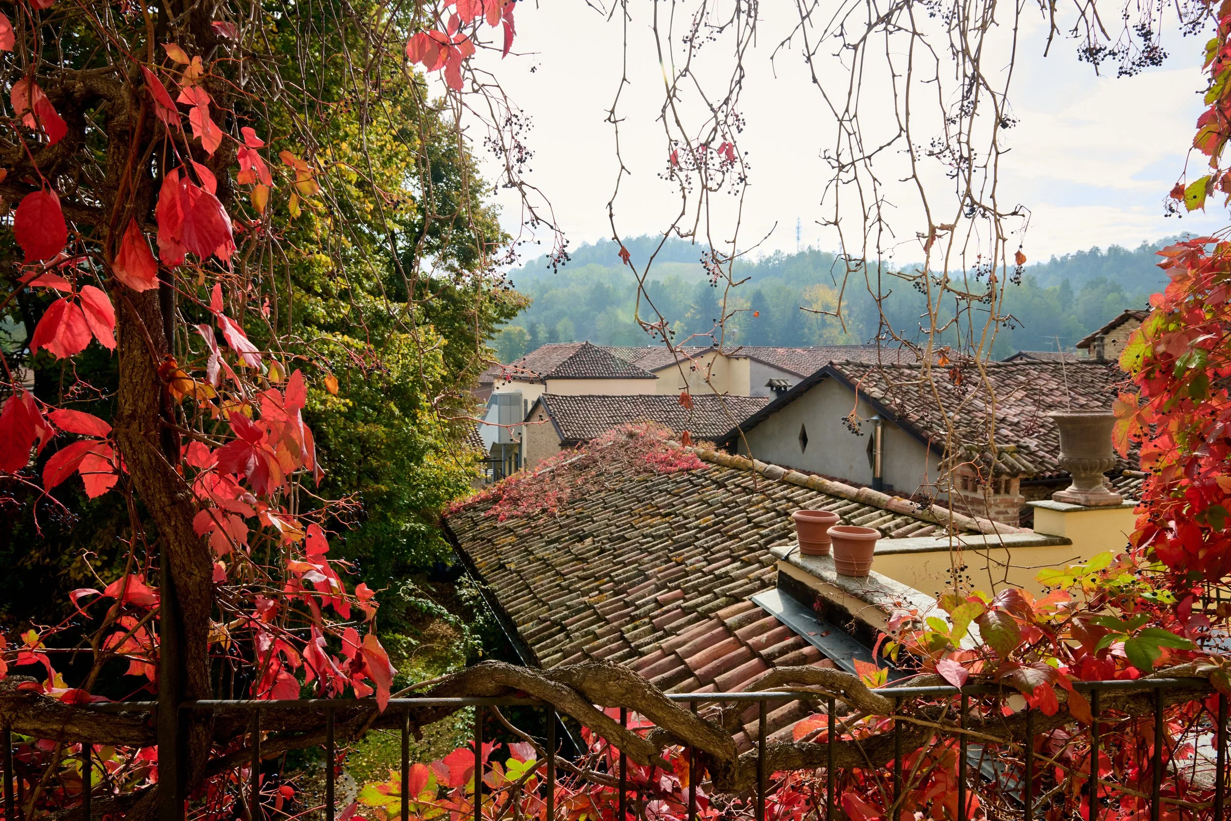 Piemonte-056_DSC_1635_Oct 22 2022.jpg