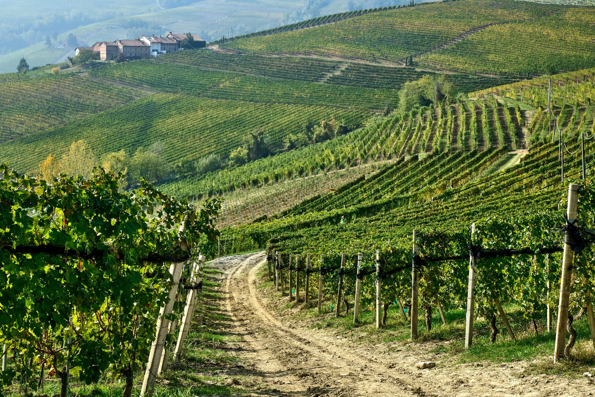 Piemonte-017_DSC_1441_Oct 18 2022.jpg