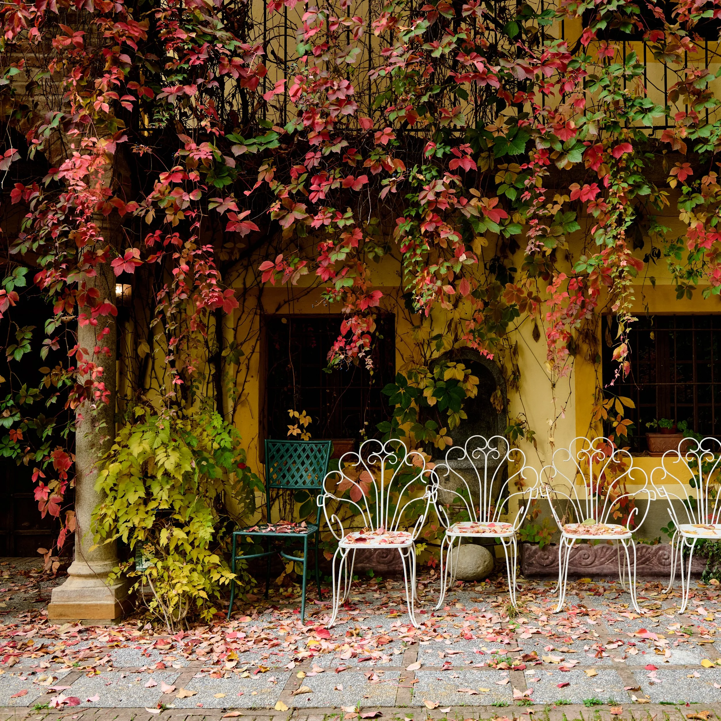 Piemonte-037_DSC_1700_Oct 22 2022.jpg