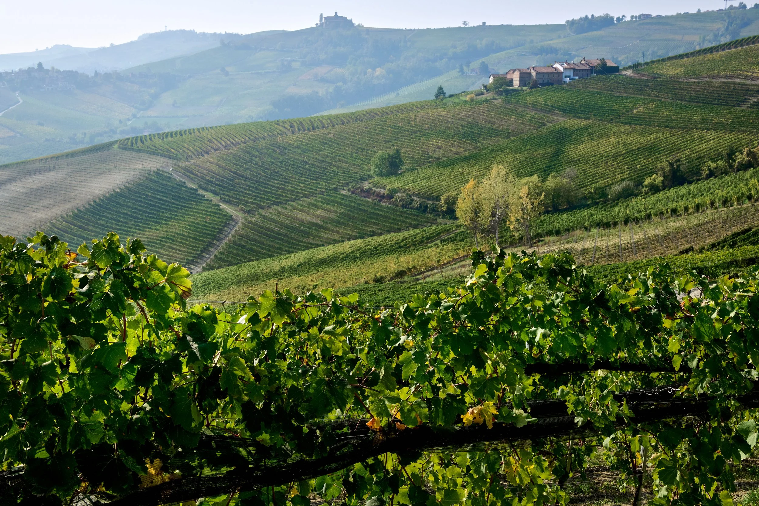 Piemonte-019_DSC_1451_Oct 18 2022.jpg