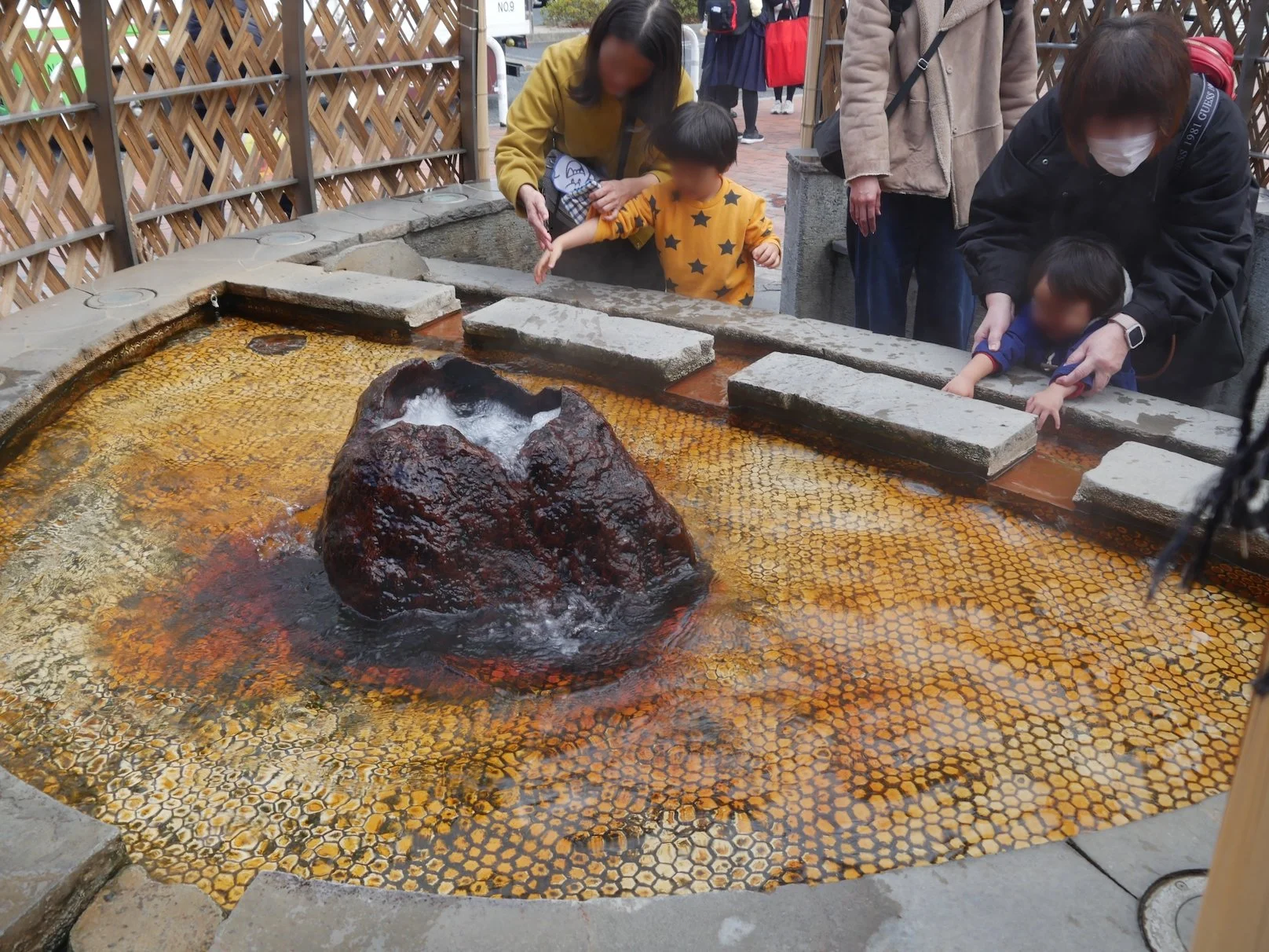 ©︎YurikaSaito All photographs are from Yurika’s fieldwork. Unauthorized use is prohibited.