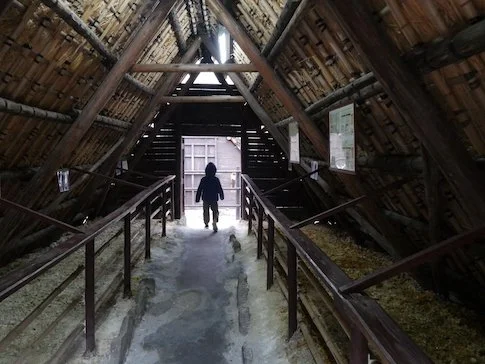 ©︎YurikaSaito All photographs are from Yurika’s fieldwork. Unauthorized use is prohibited.