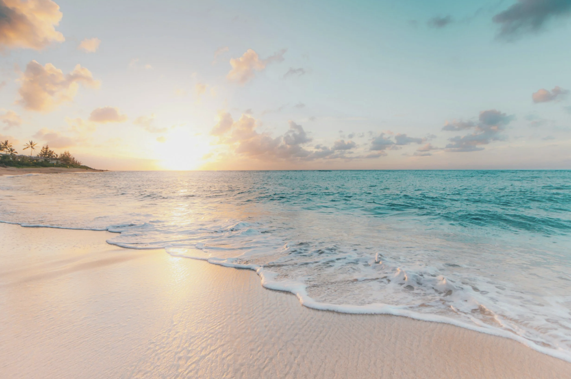 Screenshot 2025-08-30 at 4.04.58 PM.png