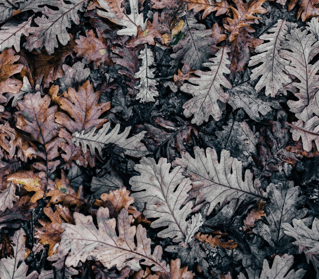 Screenshot 2025-08-30 at 4.05.21 PM.png