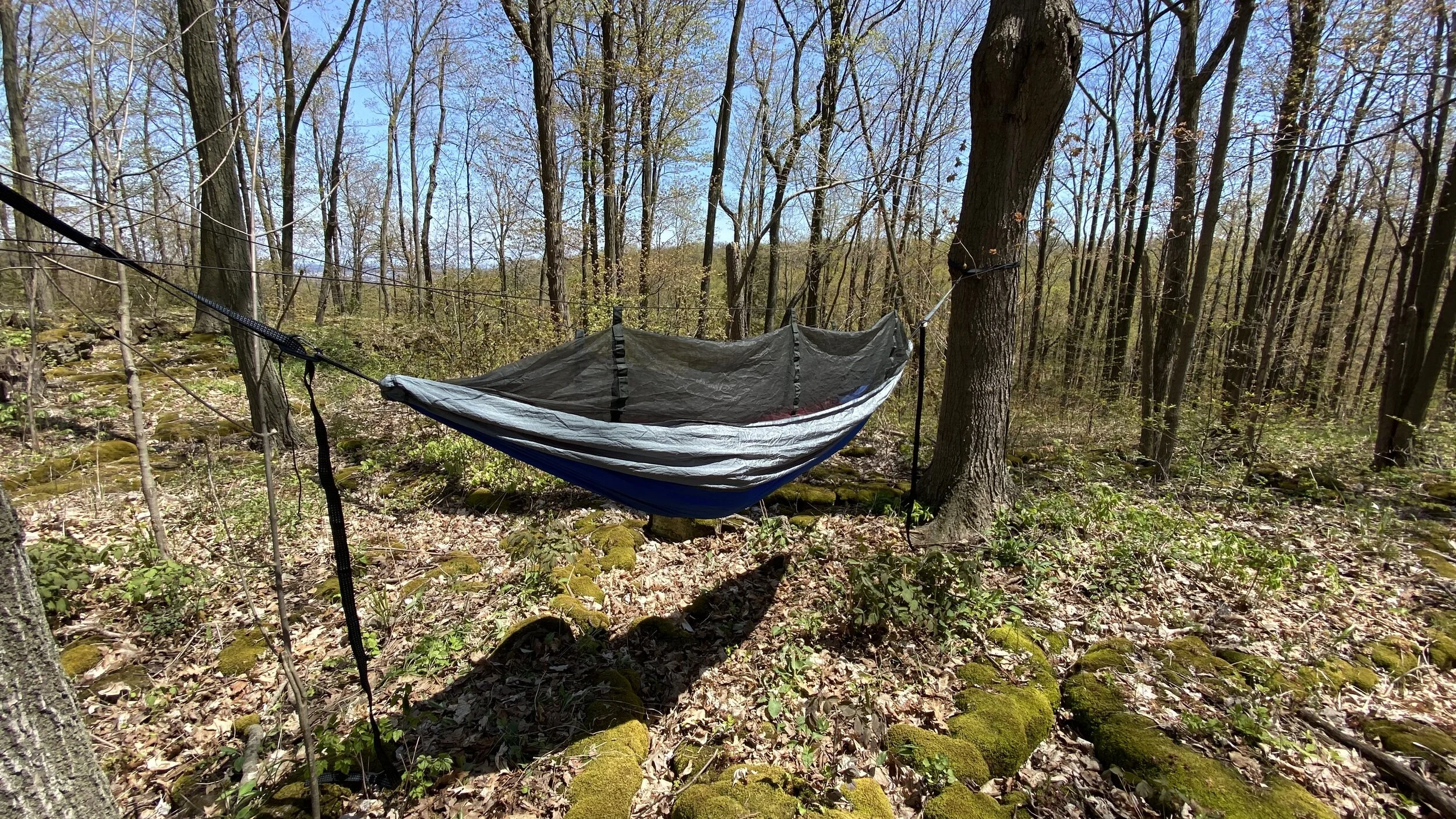 Travel Hammock with Integrated Bug Net Blue Jay — Hidden Wild