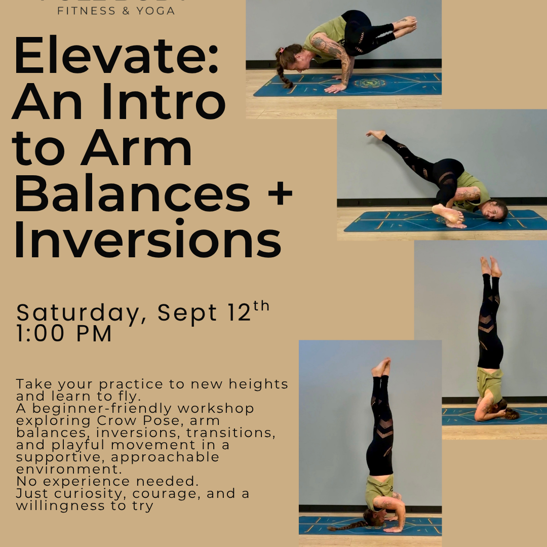 Elevate: An Intro to Arm Balances + Inversions
