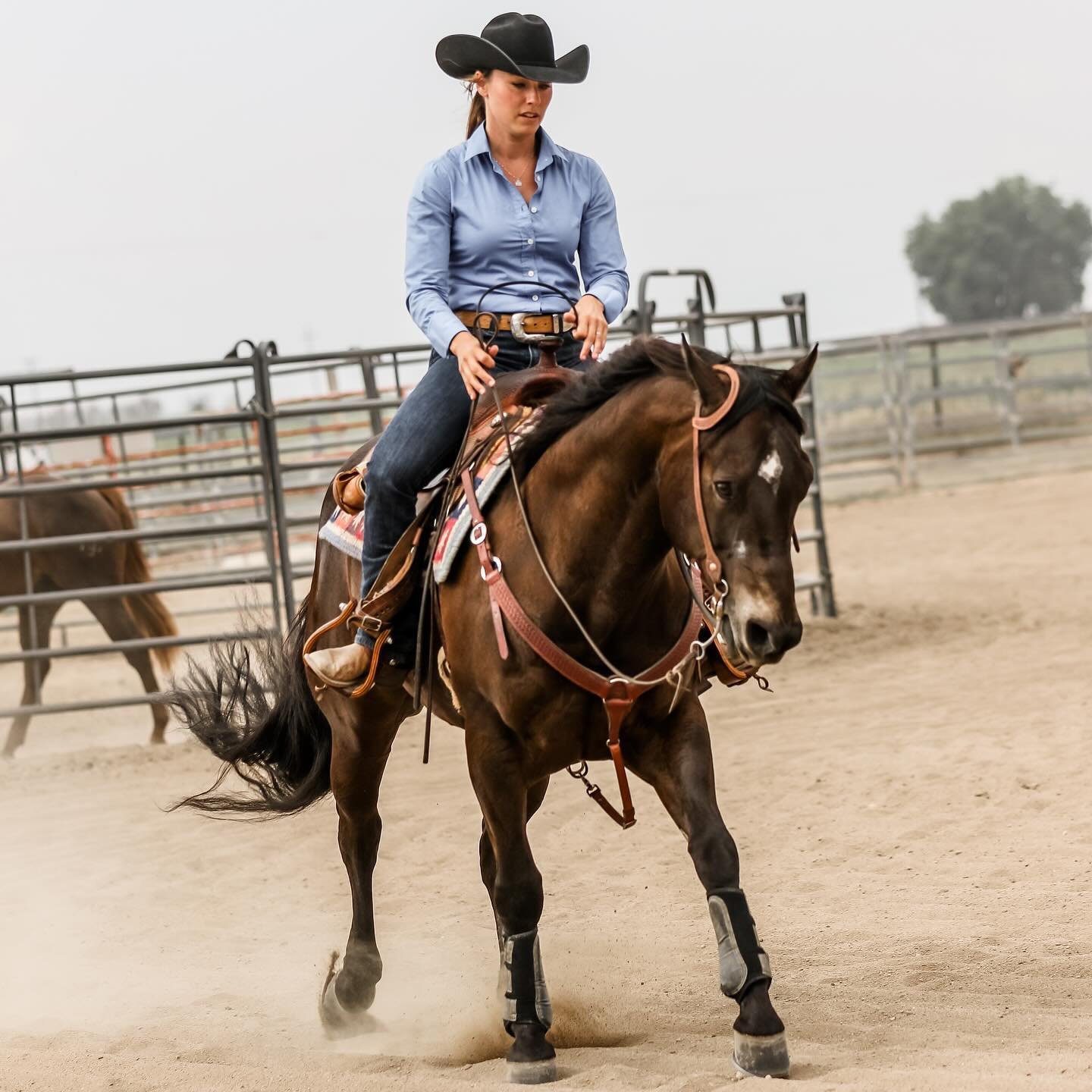 .

SITTING VS. SURVIVING THE STOP

Physical weaknesses create bad habits that hinder riders' ability to cue &amp; respond timely regardless of the discipline. One common issue is bracing through the stop instead of clearly asking for &amp; quietly si