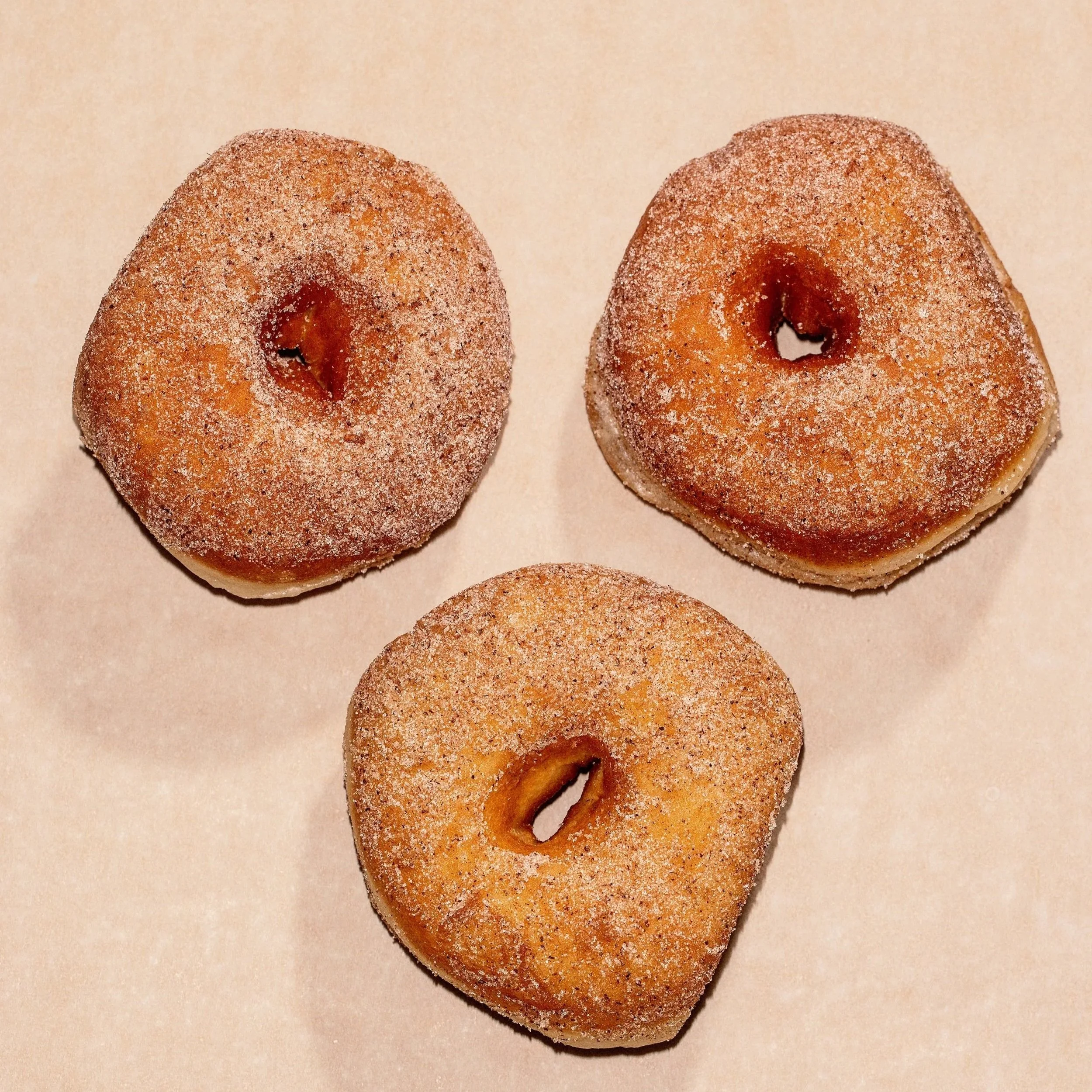 Cinnamon Sugared Doughnuts made with Wildfarmed regenerative flour (FRIDAY).