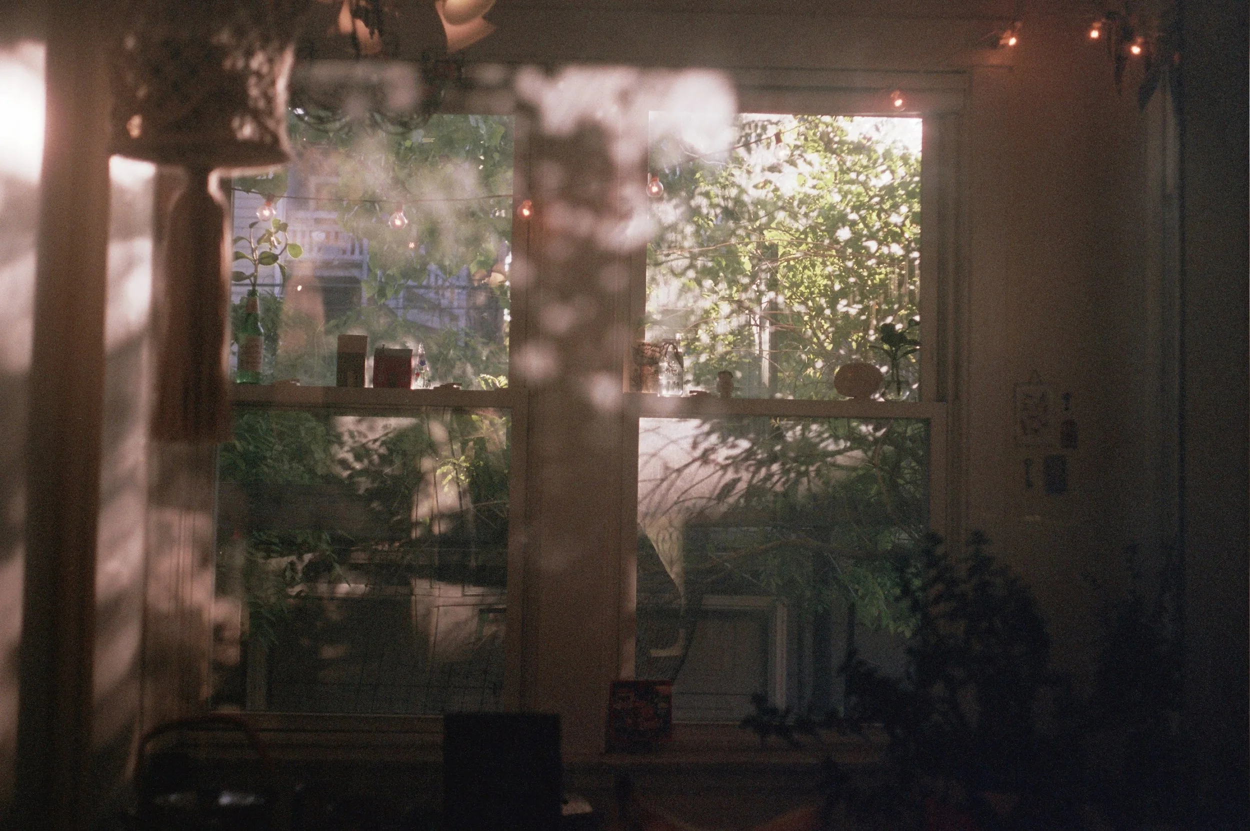 ---_0044.jpg