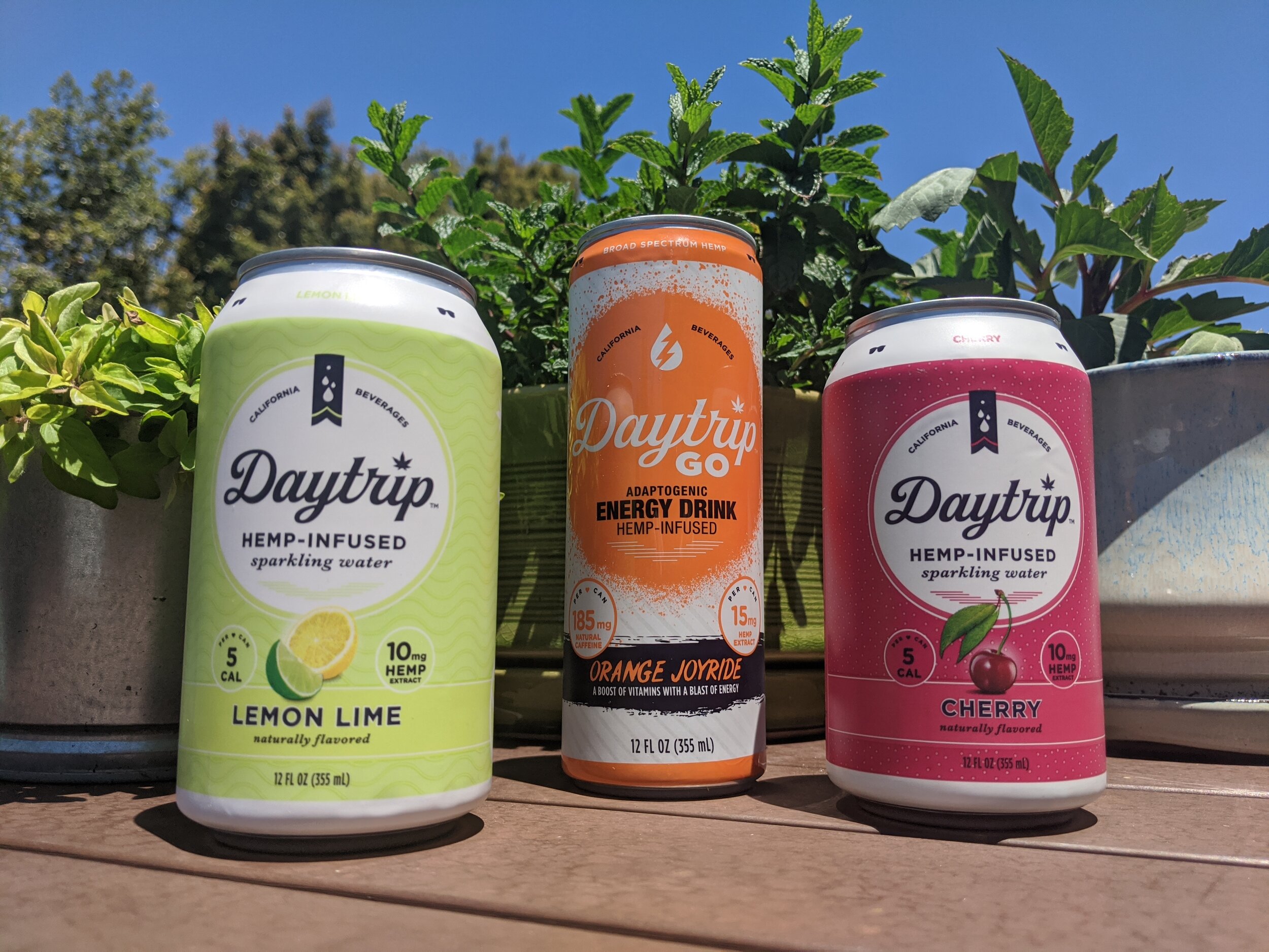 Hemp CBD Infused Sparkling Water Drink DayTrip Review — The Bossy