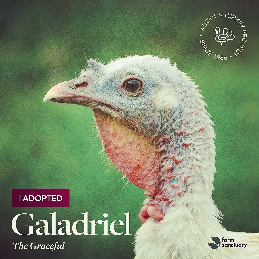 It&rsquo;s that time of year again! We love our annual #AdoptATurkey tradition from @farmsanctuary 💚 Veena always picks one she wants to adopt and then, we adopt one as a family.  V chose Galadriel bc she&rsquo;s shy and she said she wanted to be he