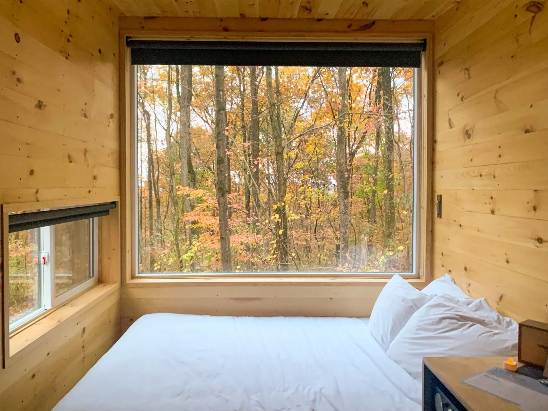 A photo of a window wall with a bed infront. There is woods beyond and the cabin is made of wood. The bedding is white