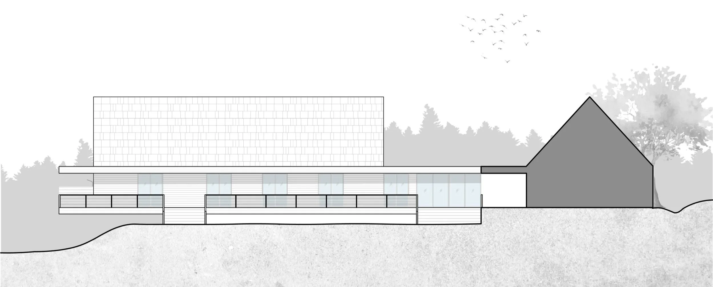 A modern architectural illustration of a multi-story house with a large sloped roof, glass sliding doors, and a deck, set against a natural background with trees and sky.