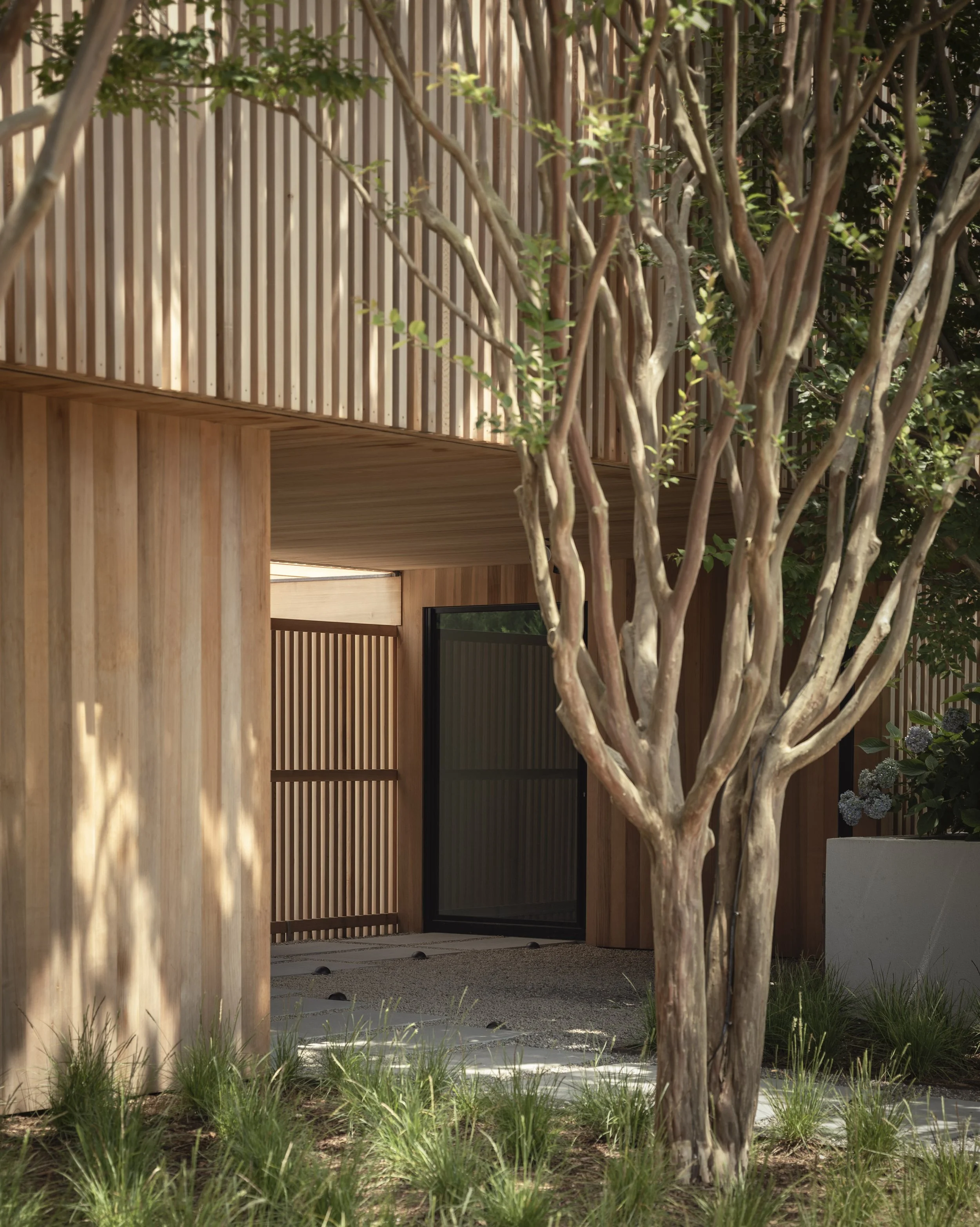 Modern wooden house entrance with vertical slats, a large tree in the foreground, and greenery around.